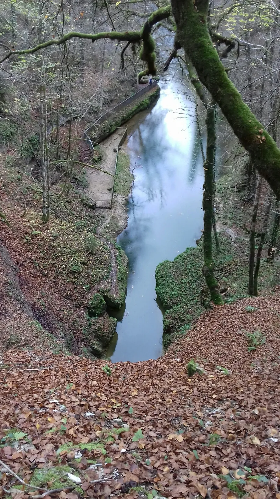 Photo showing: Source de l’Ain à Conte (Jura).