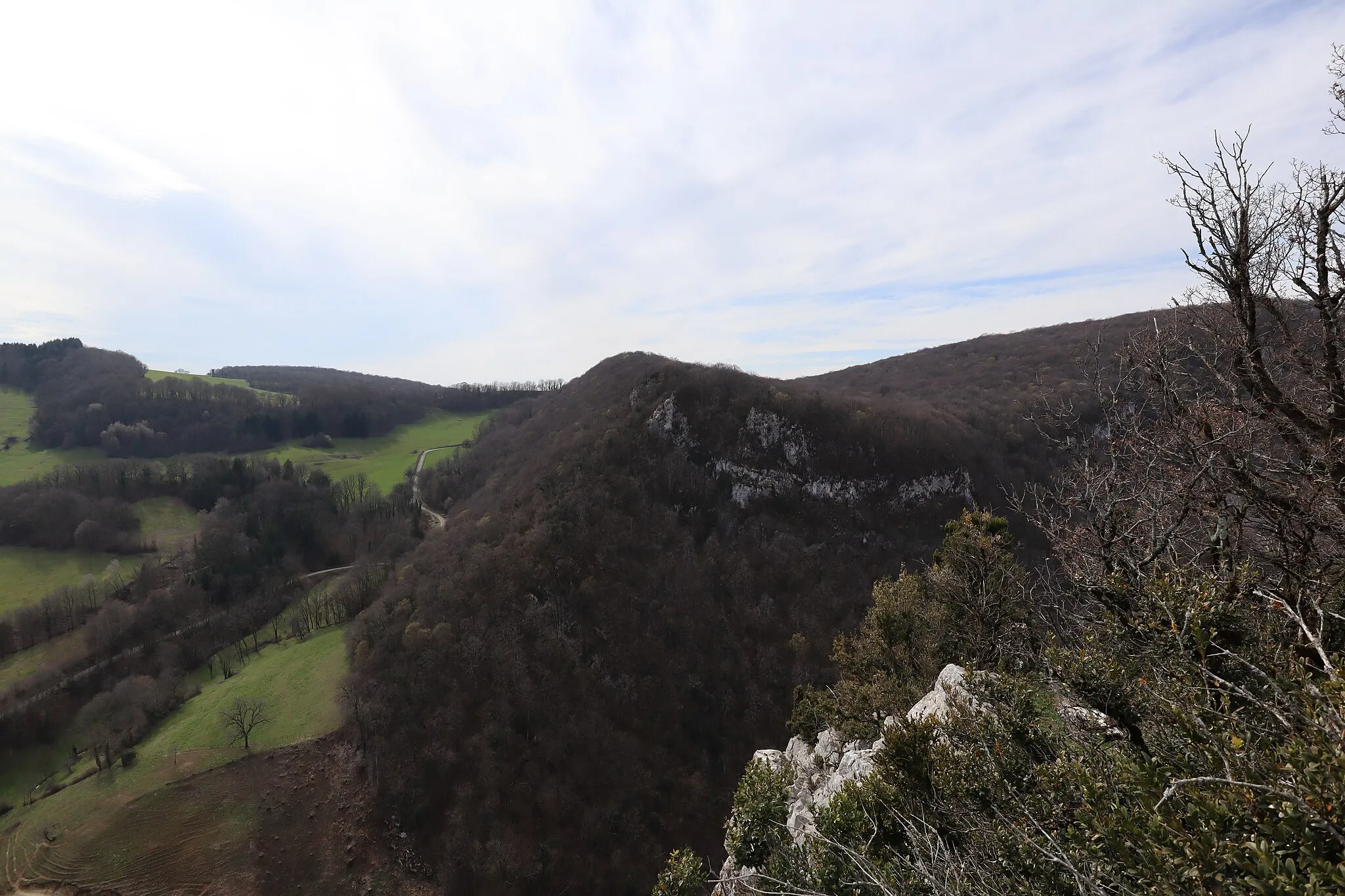 Photo showing: Le Mont Begon à Pretin (39).