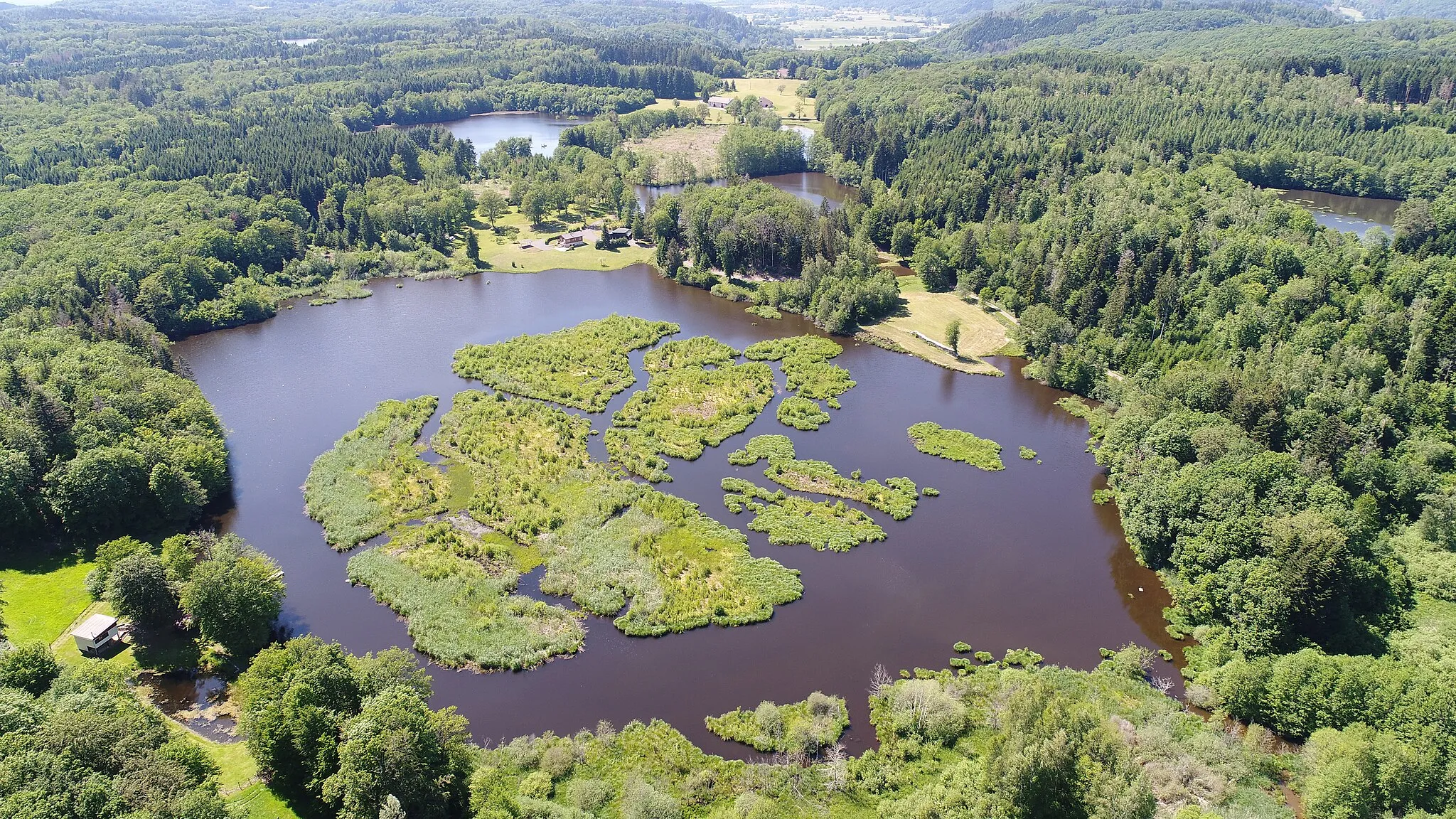Photo showing: L'étang des Grands Prés à La Voivre sur le Plateau des mille étangs.