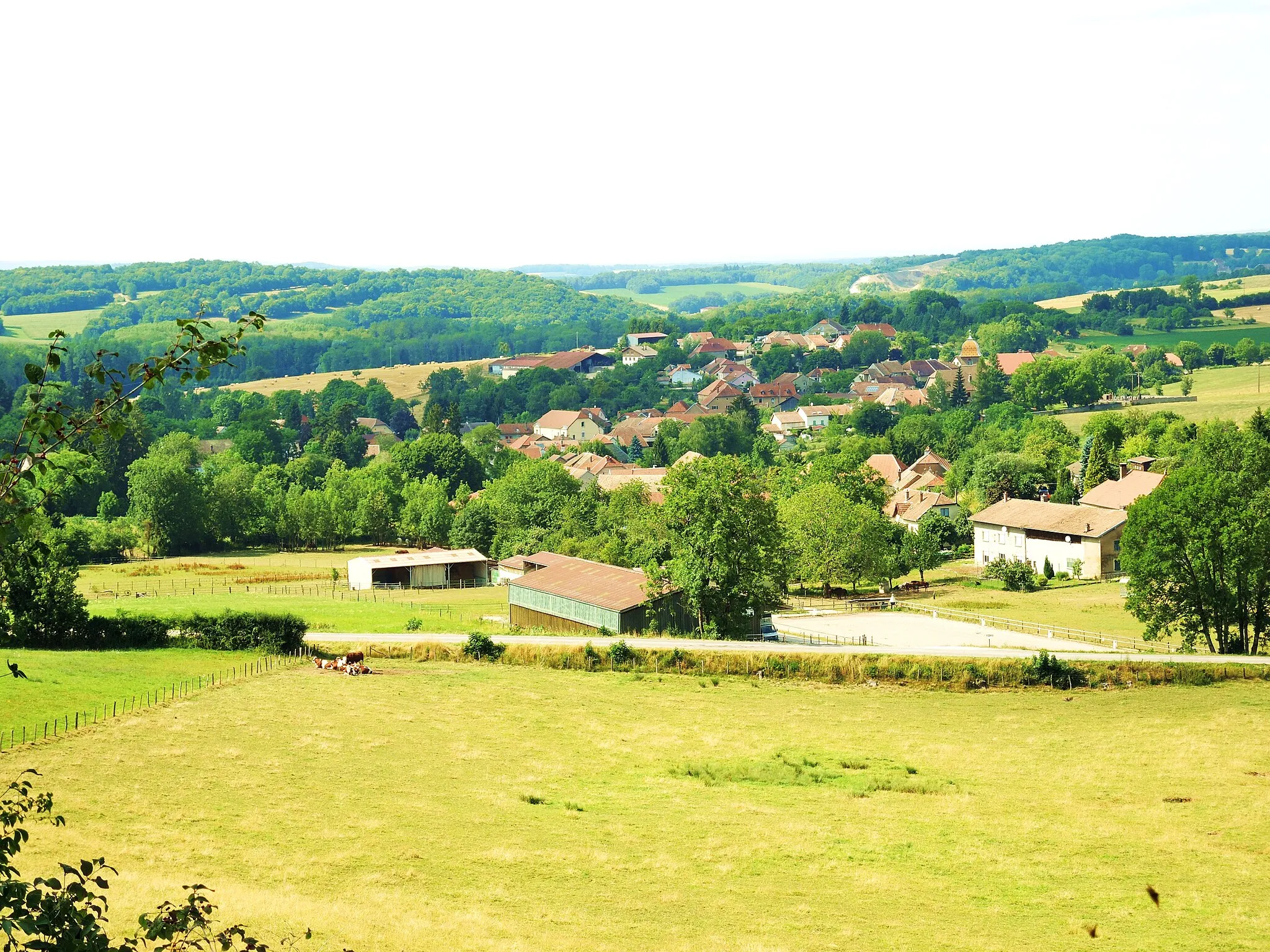 Photo showing: Panorama sur le village de Courchaton.