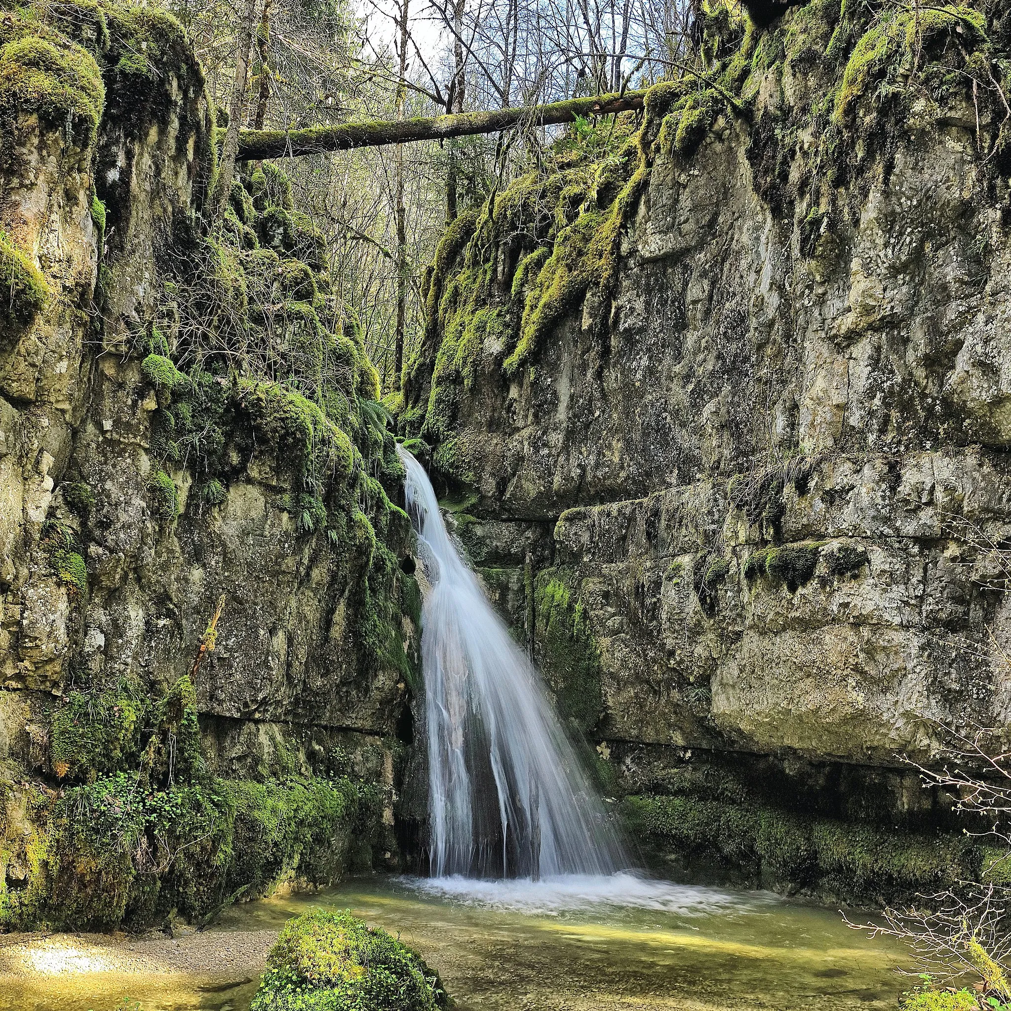 Photo showing: La cascade aval du Pissoux, affluent rive droite du Dessoubre