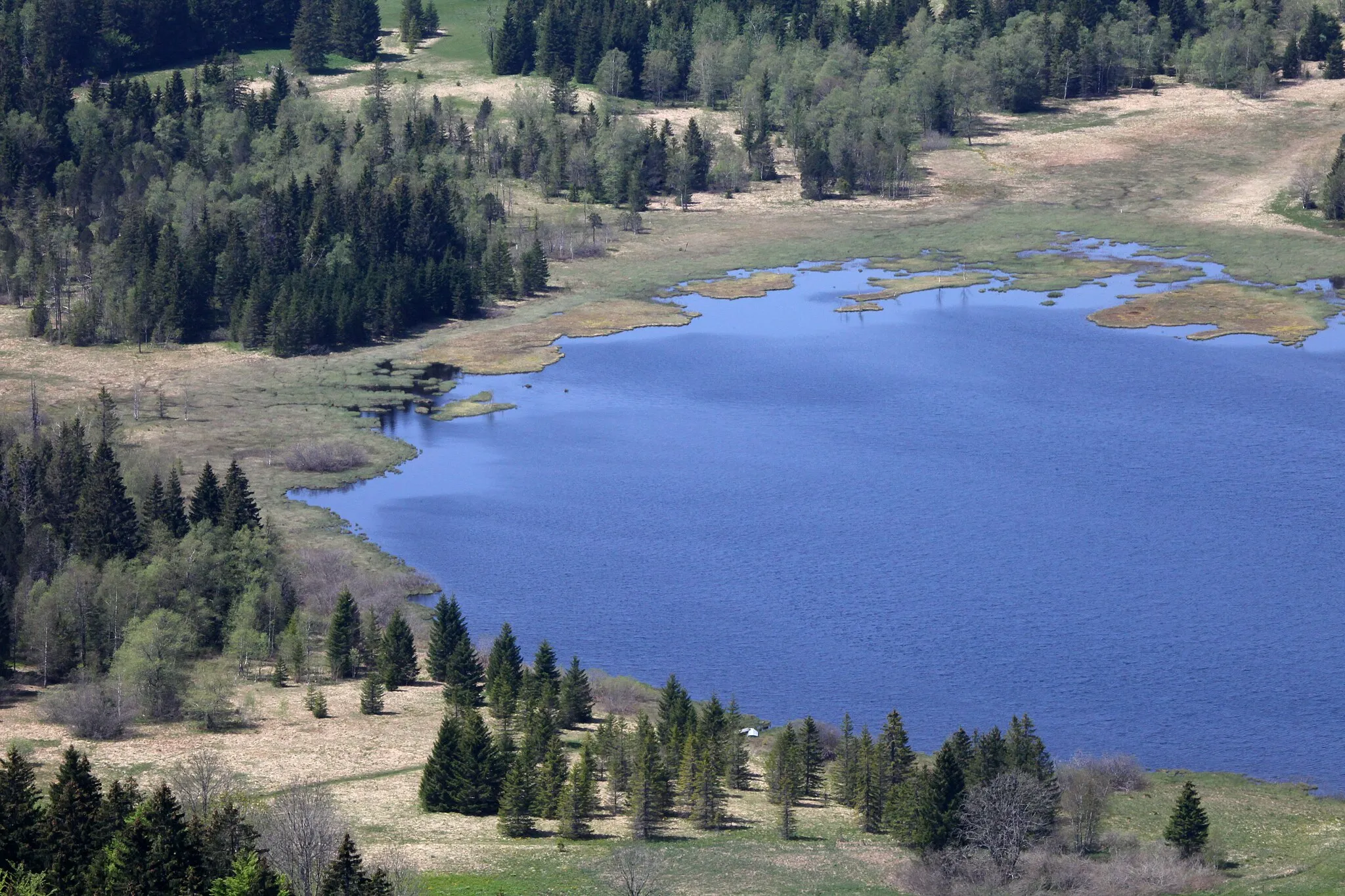 Photo showing: L'extrémité sud du lac de Bellefontaine vue de la Roche Bernard.