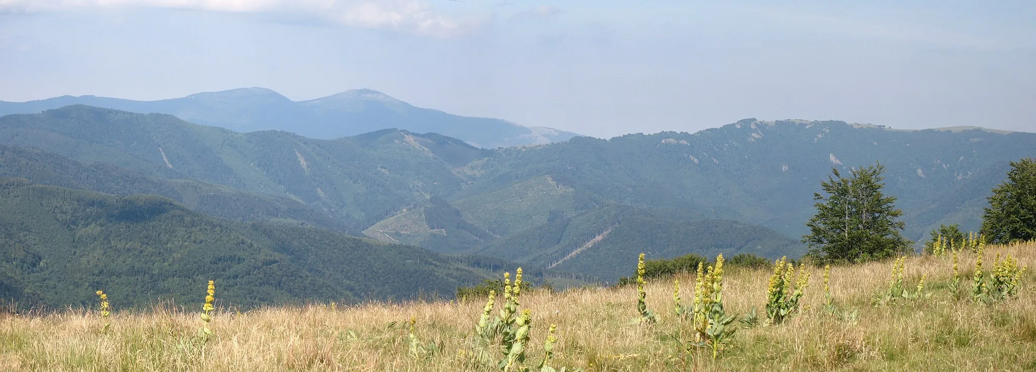 Photo showing: Panorama des Vosges : vus depuis le Tremontkopf, le Grand Ballon, plus haut sommet sur l'horizon, et à droite, la longue chaume du Rossberg. Au centre, le col du Belacker.