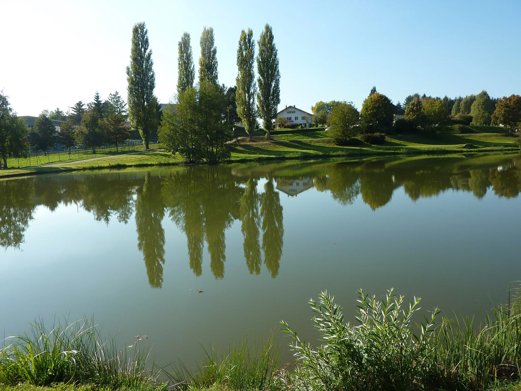 Photo showing: Lac de Rioz appelé aussi lac de la Faïencerie