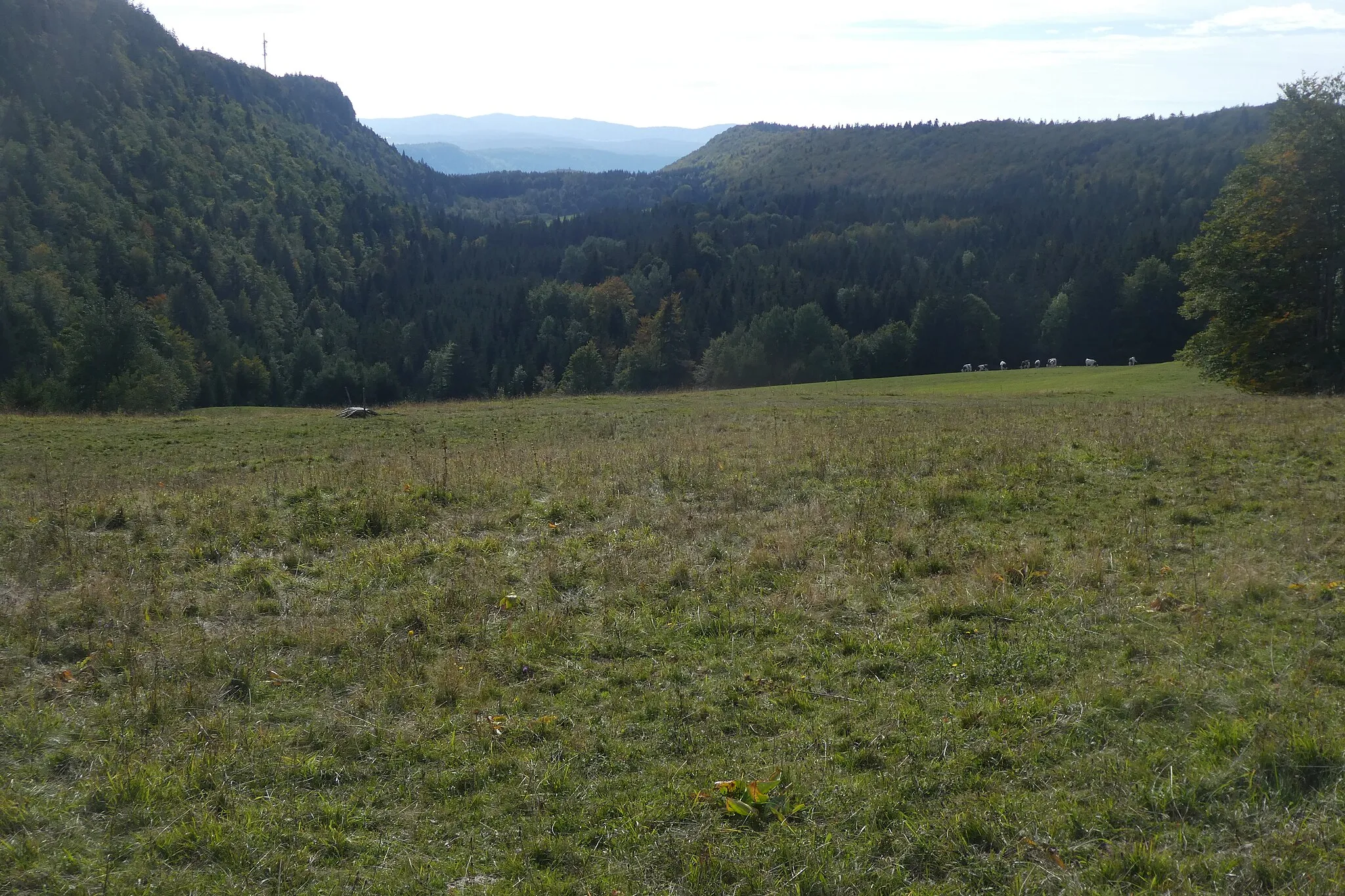 Photo showing: Vallon des Entrecôtes