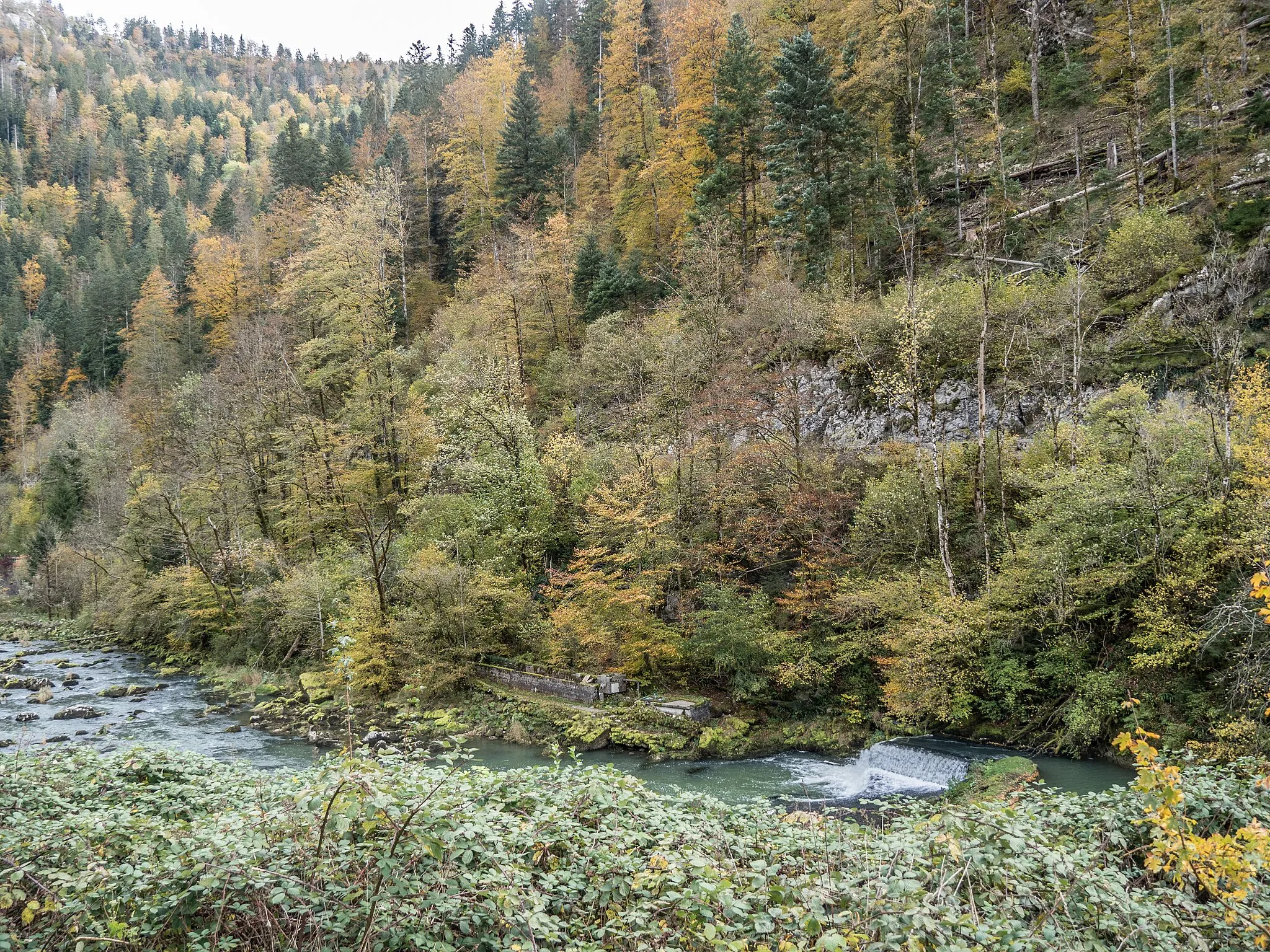 Photo showing: Amphibian Spawning Area, La Chaux-de-Fonds, Canton of Neuchâtel, Switzerland