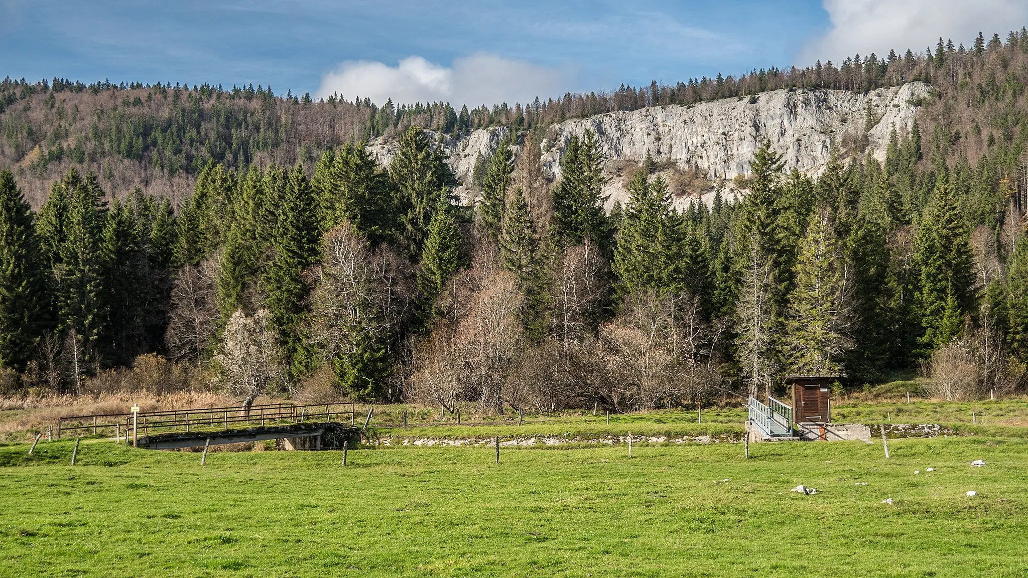 Photo showing: Bois du Carre High Moor, Le Chenit, Canton of Vaud, Switzerland