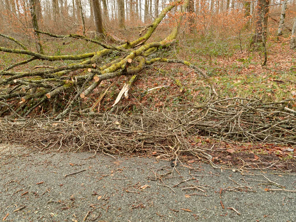 Photo showing: Dégâts causés par la tempête Eleanor.
D'autres images ici :

commons.wikimedia.org/wiki/Eleanor windstorm during 2017%...