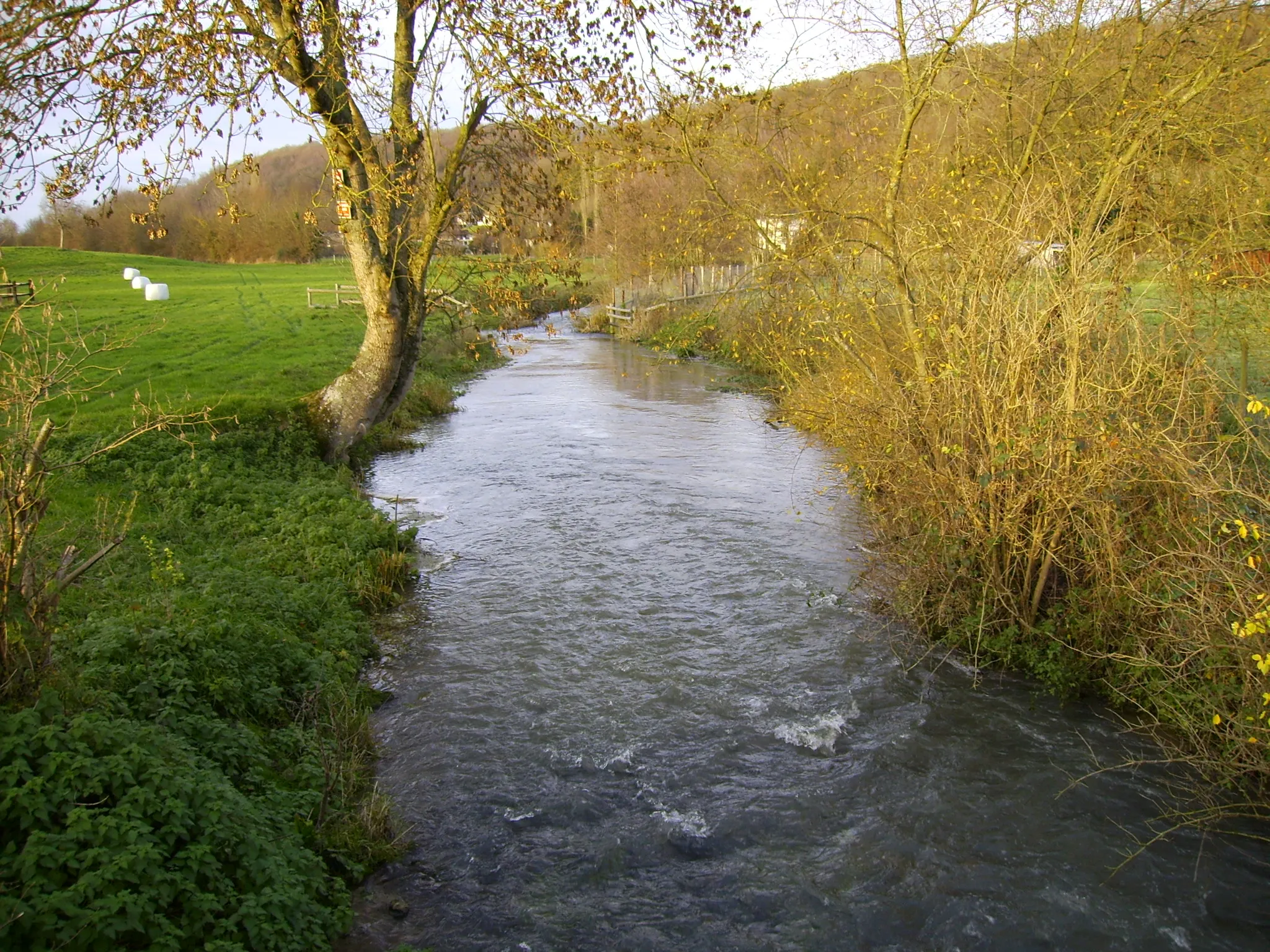 Photo showing: La Calonne à Saint-Pierre-de-Cormeilles aux Bréards. Rivière.