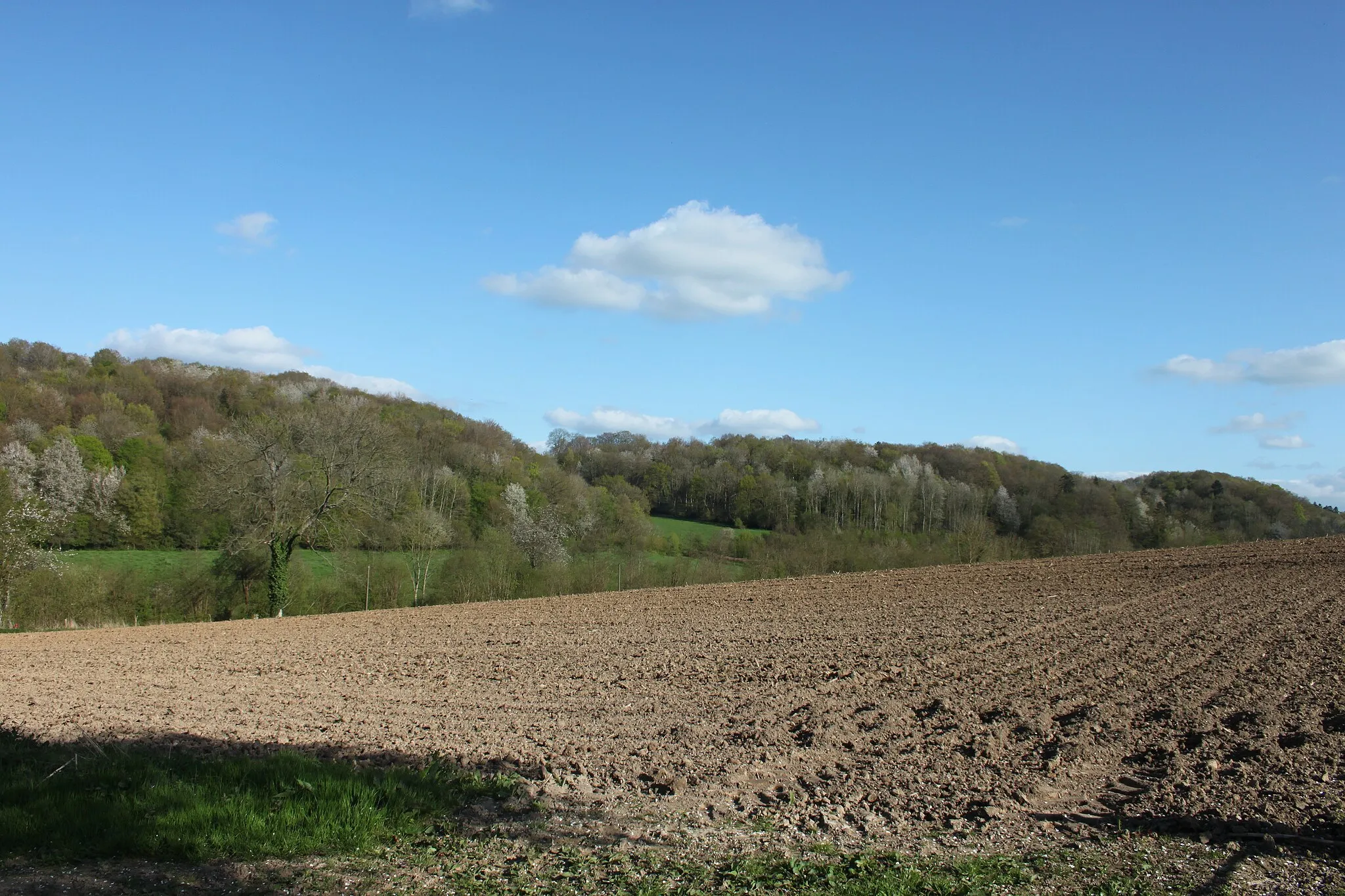 Photo showing: La vallée de la Véronne vue depuis la chapelle Saint-Firmin