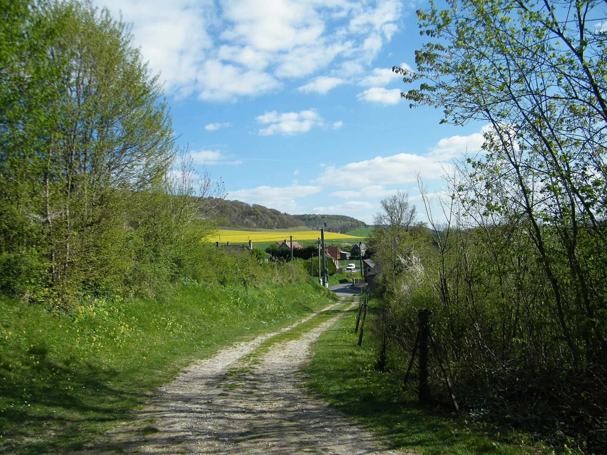 Photo showing: Vue sur la vallée du Liger et ses larris.