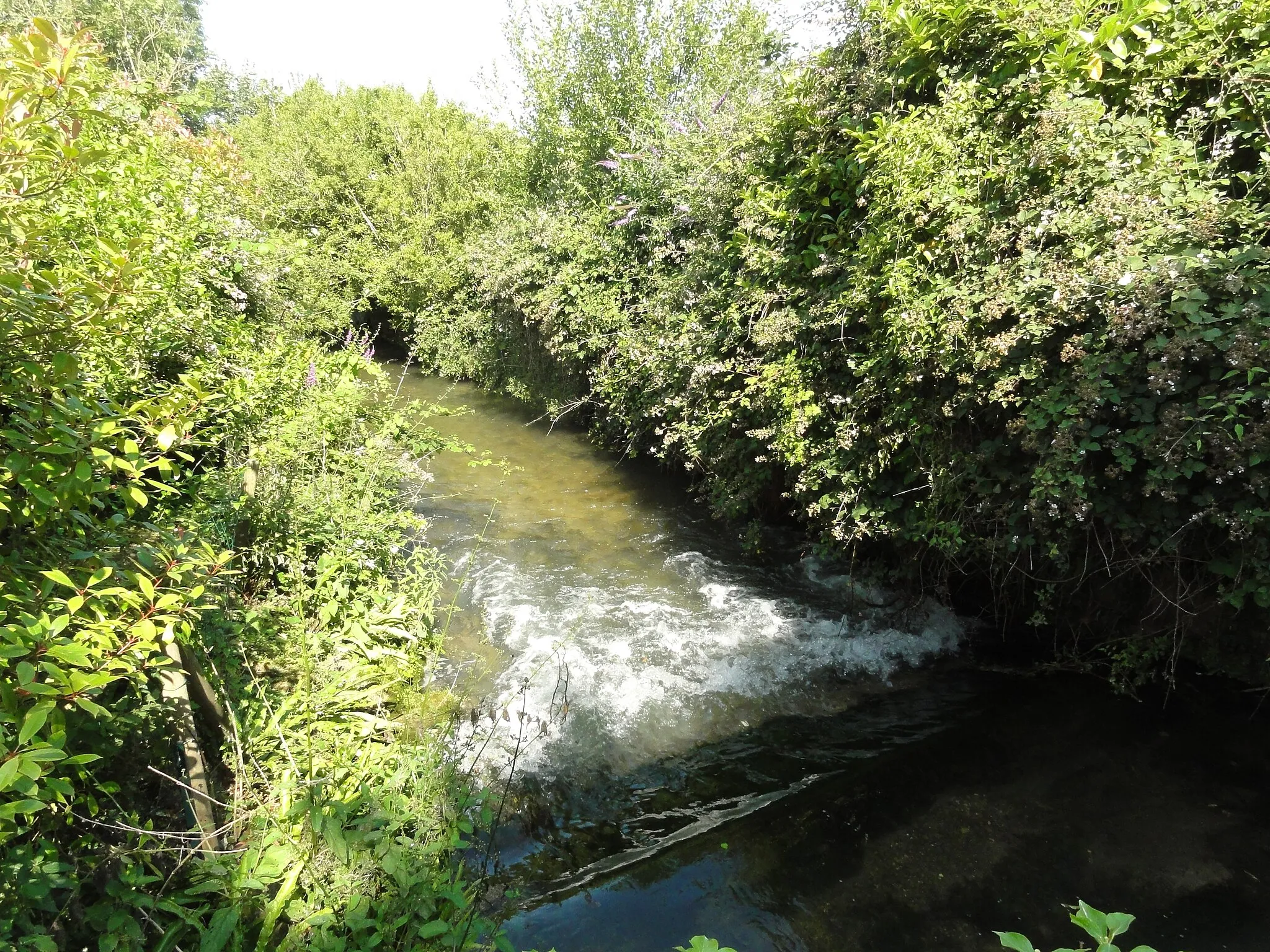 Photo showing: Ganzeville (Seine-Mar.) la Ganzeville (rivière)