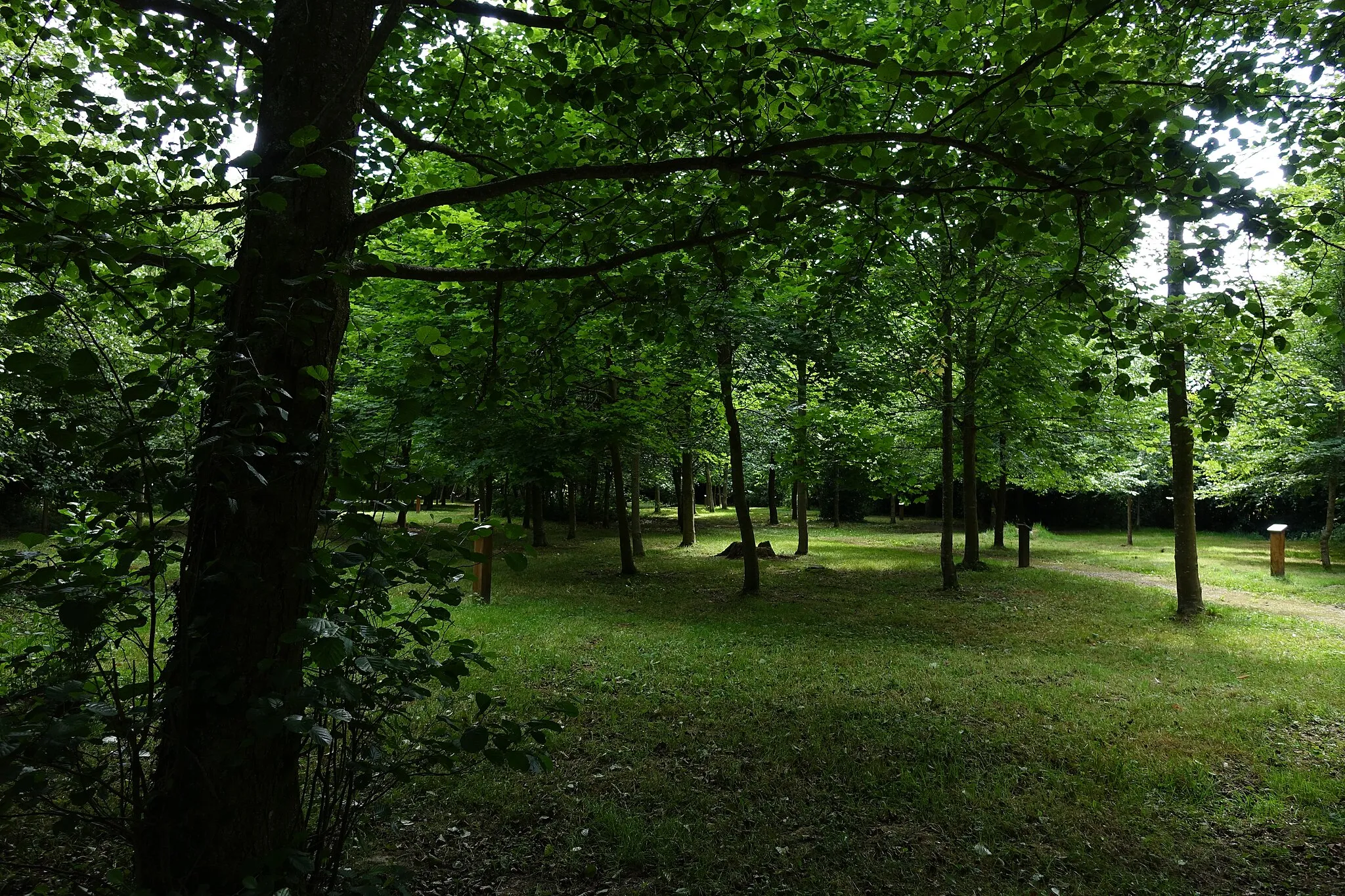 Photo showing: Le Jardin du Roi de Rome à Ventes-Saint-Rémy, Seine-Maritime, France