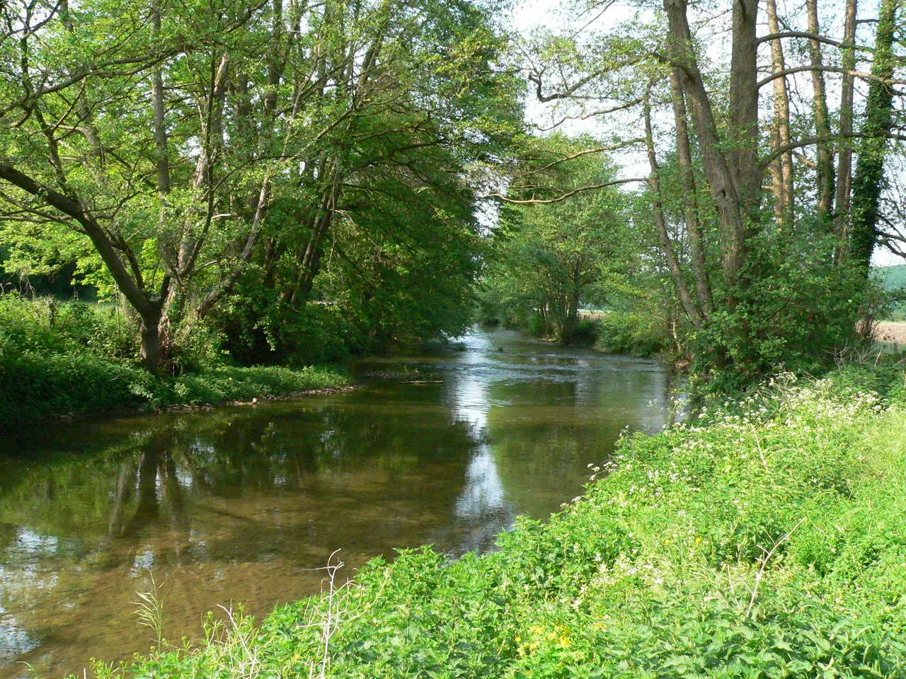 Photo showing: La Risle (rivière) près de Grosley-sur-Risle (Eure)