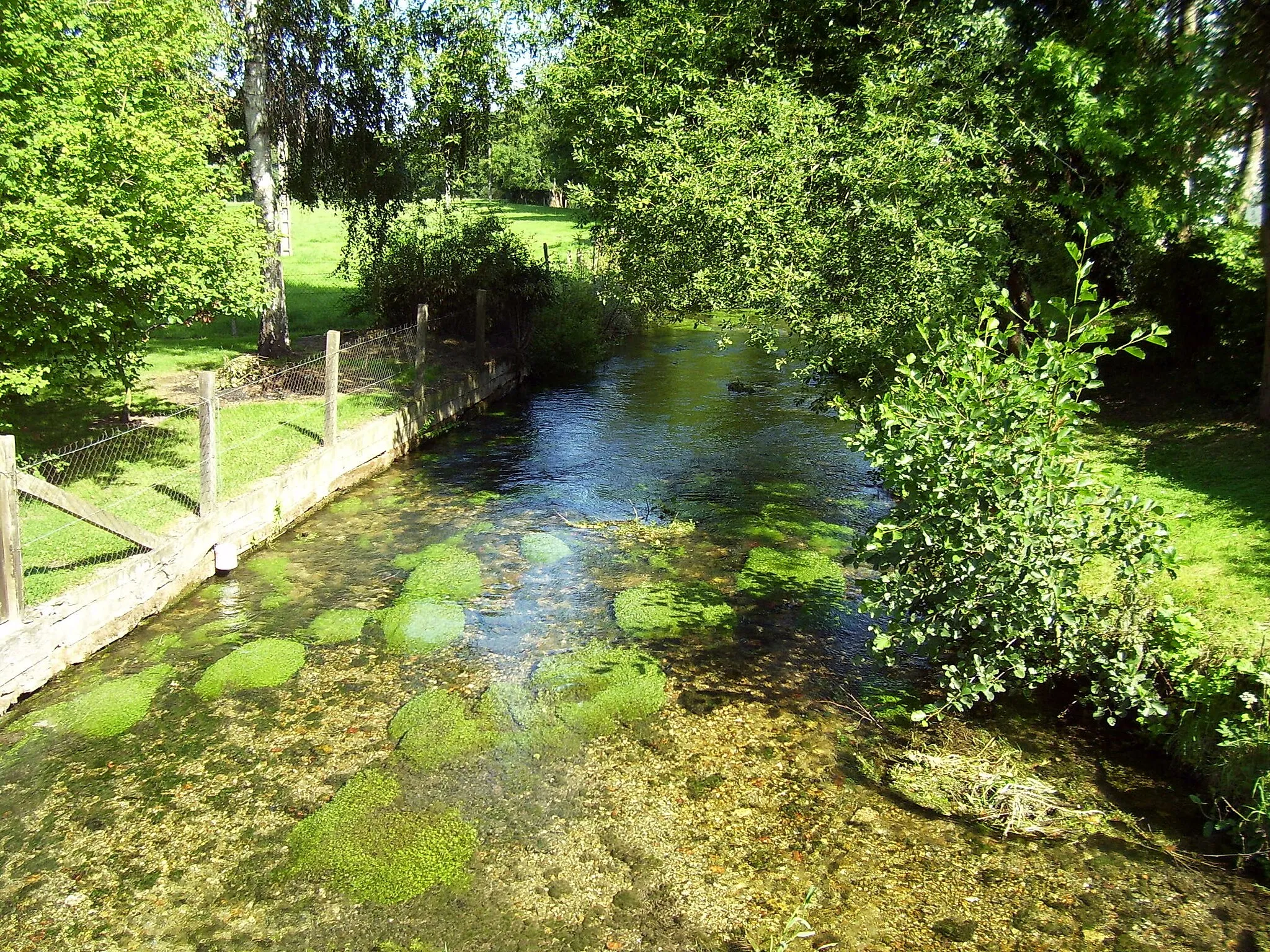 Photo showing: The small river at Livet-sur-Authou (Eure,France), most likely the Authou.