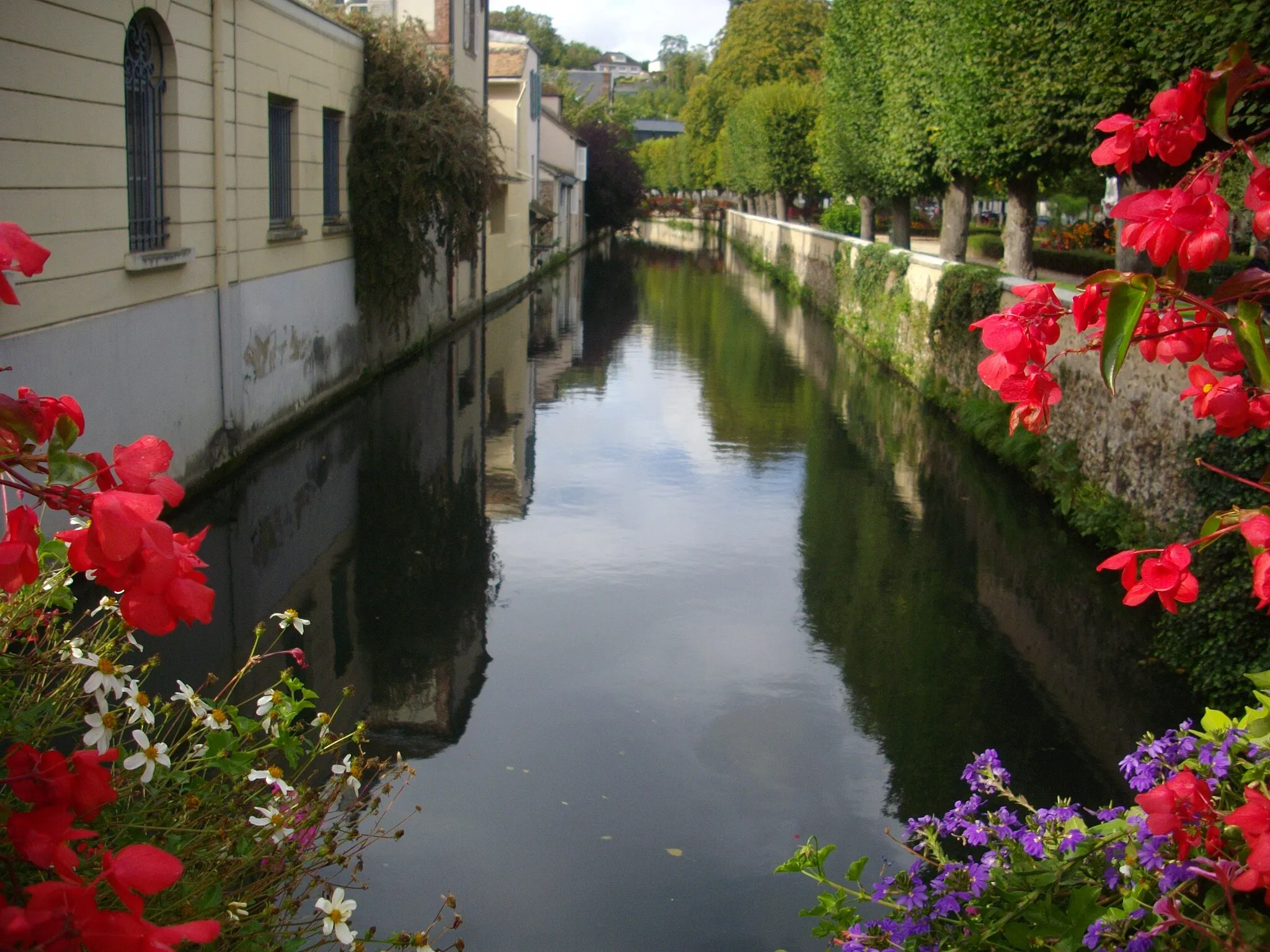Photo showing: Blaise river in Dreux (Eure-et-Loir, France), at the bridge of Sénarmont street