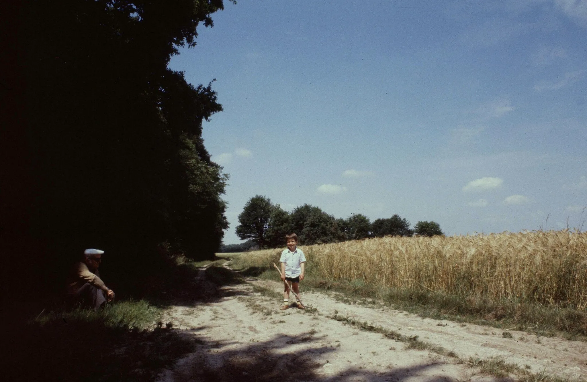 Photo showing: Eure-Et-Loir Foret De Dreux 071979