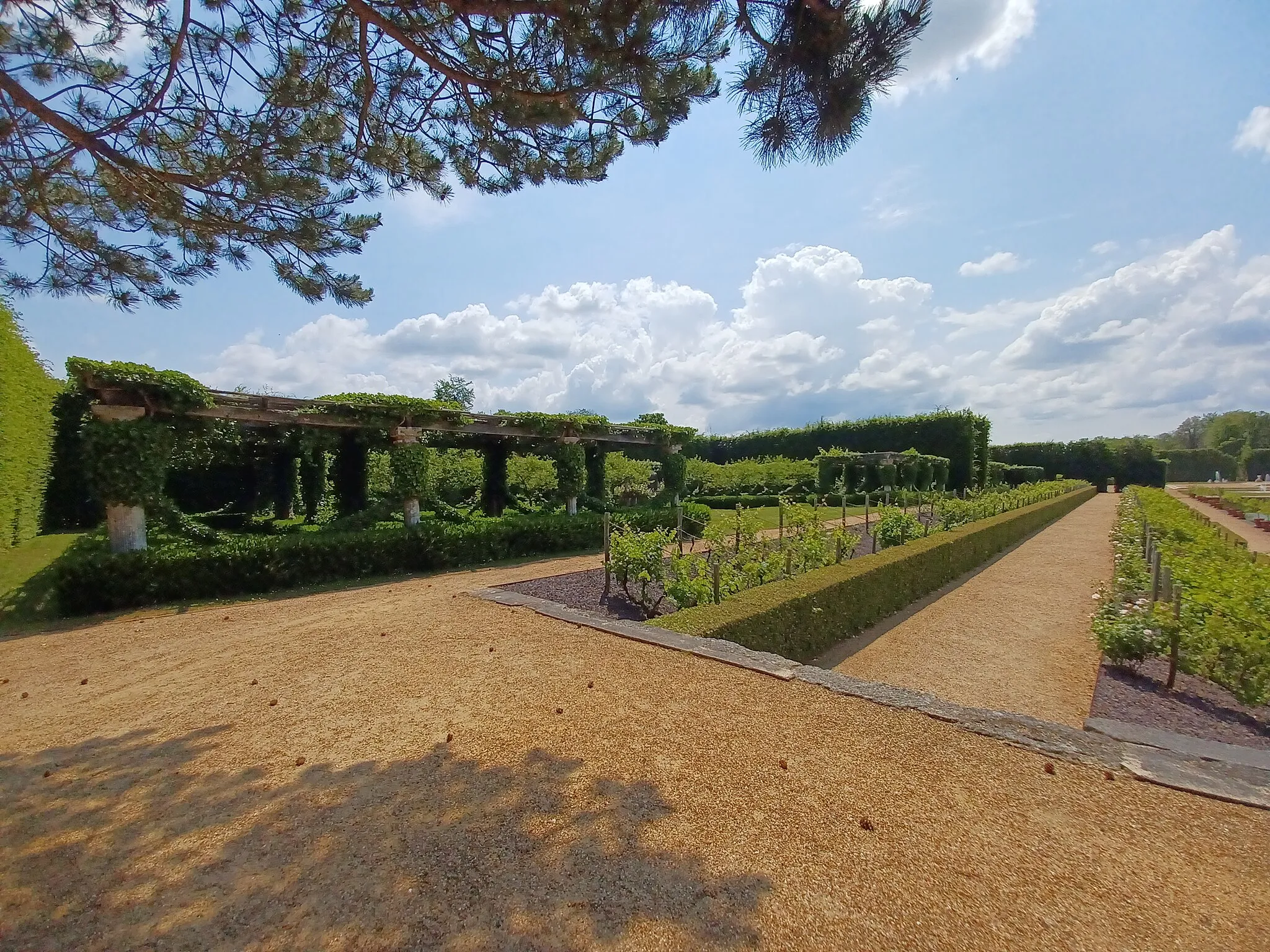 Photo showing: Chateau of Champ de Bataille, 8 Du Château Road, 27110, Sainte-Opportune-du-Bosc, France.