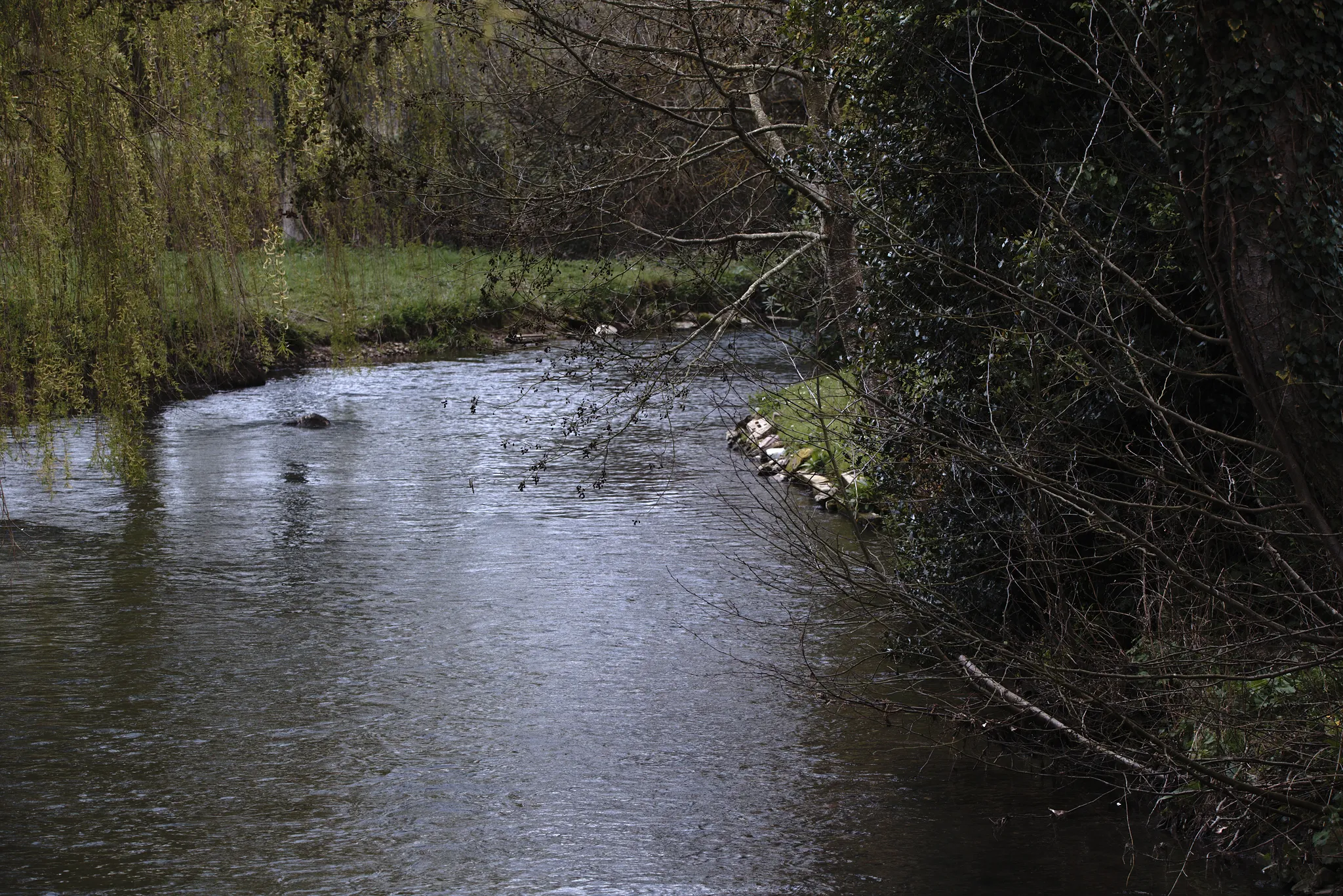 Photo showing: La Charentonne à Serquigny