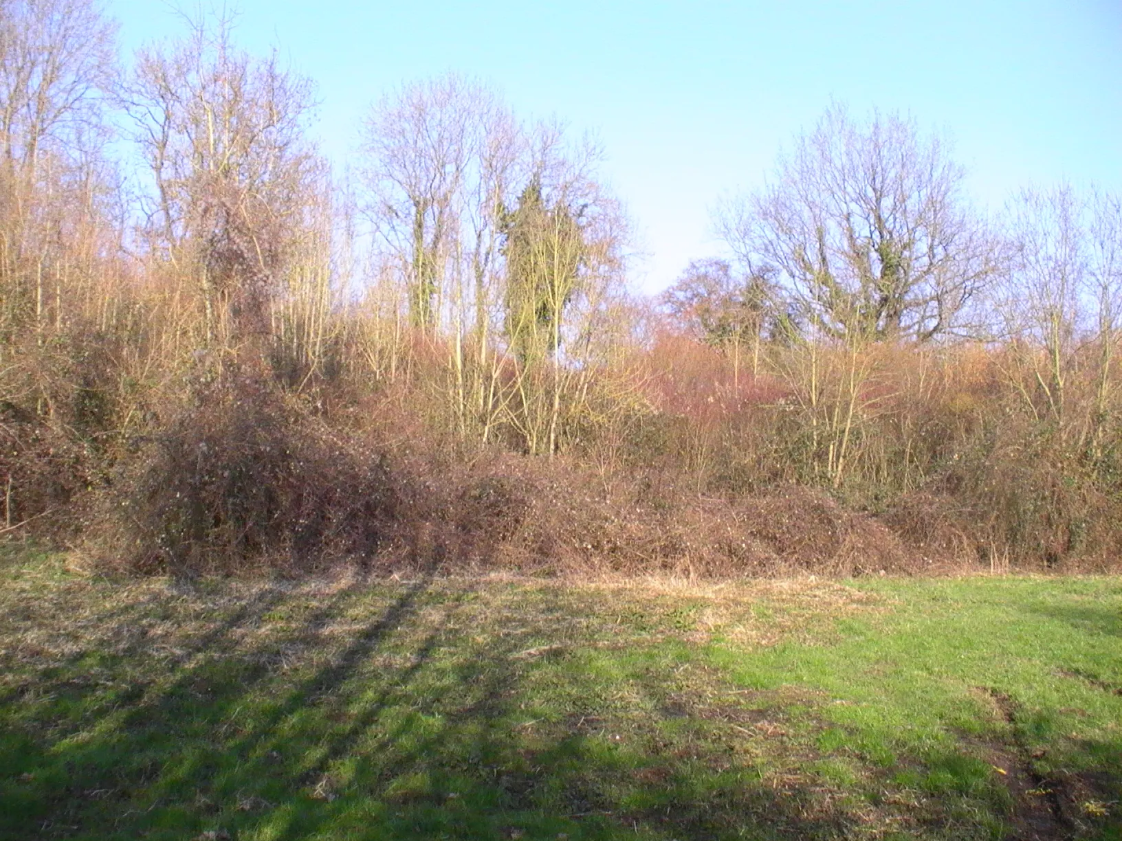 Photo showing: Site des câteliers, sur les hauteurs du hameau de Noyers.