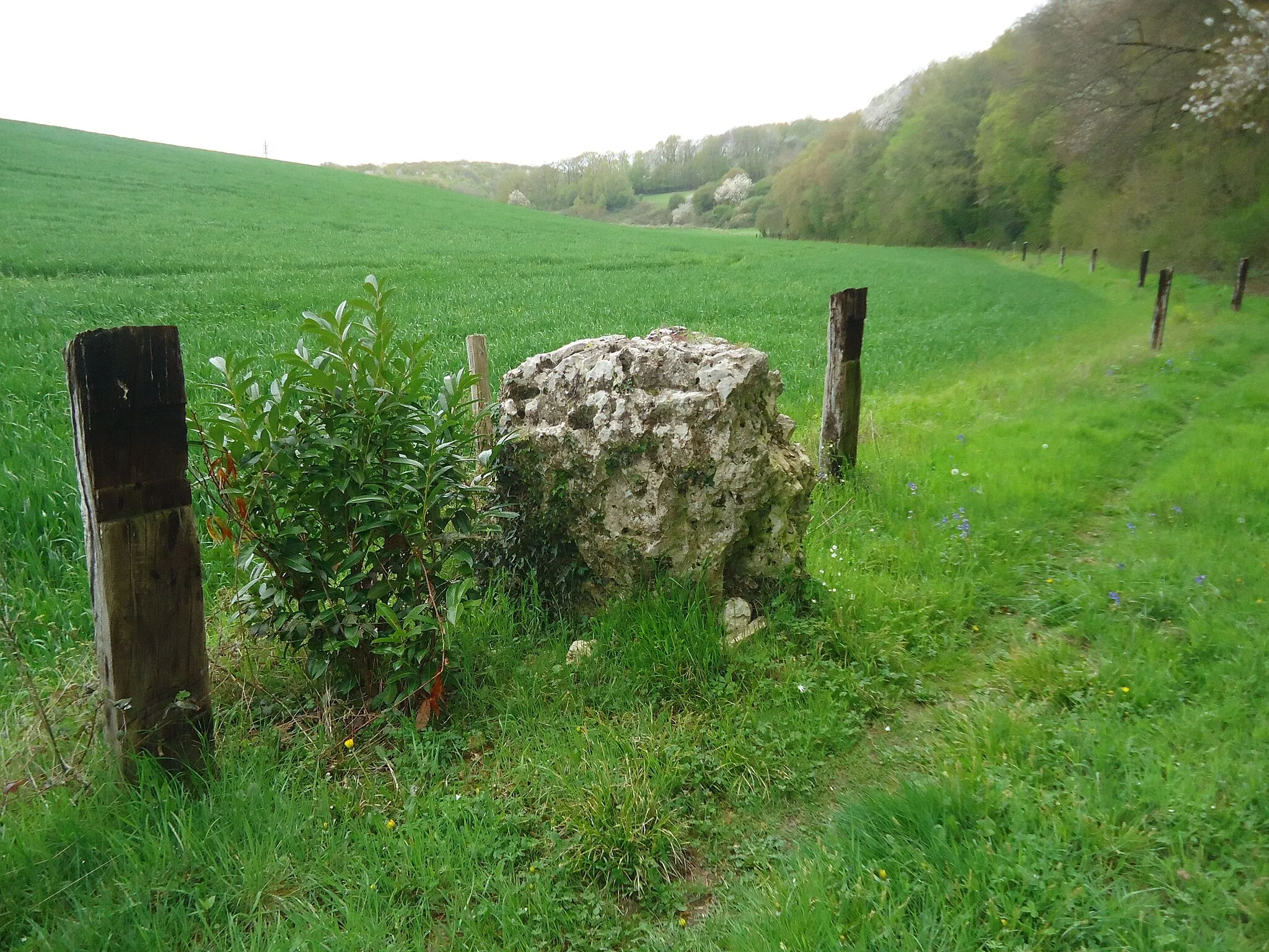 Photo showing: Menhir de la Pierre Saint-Martin à Fleury-sur-Andelle dans l'Eure