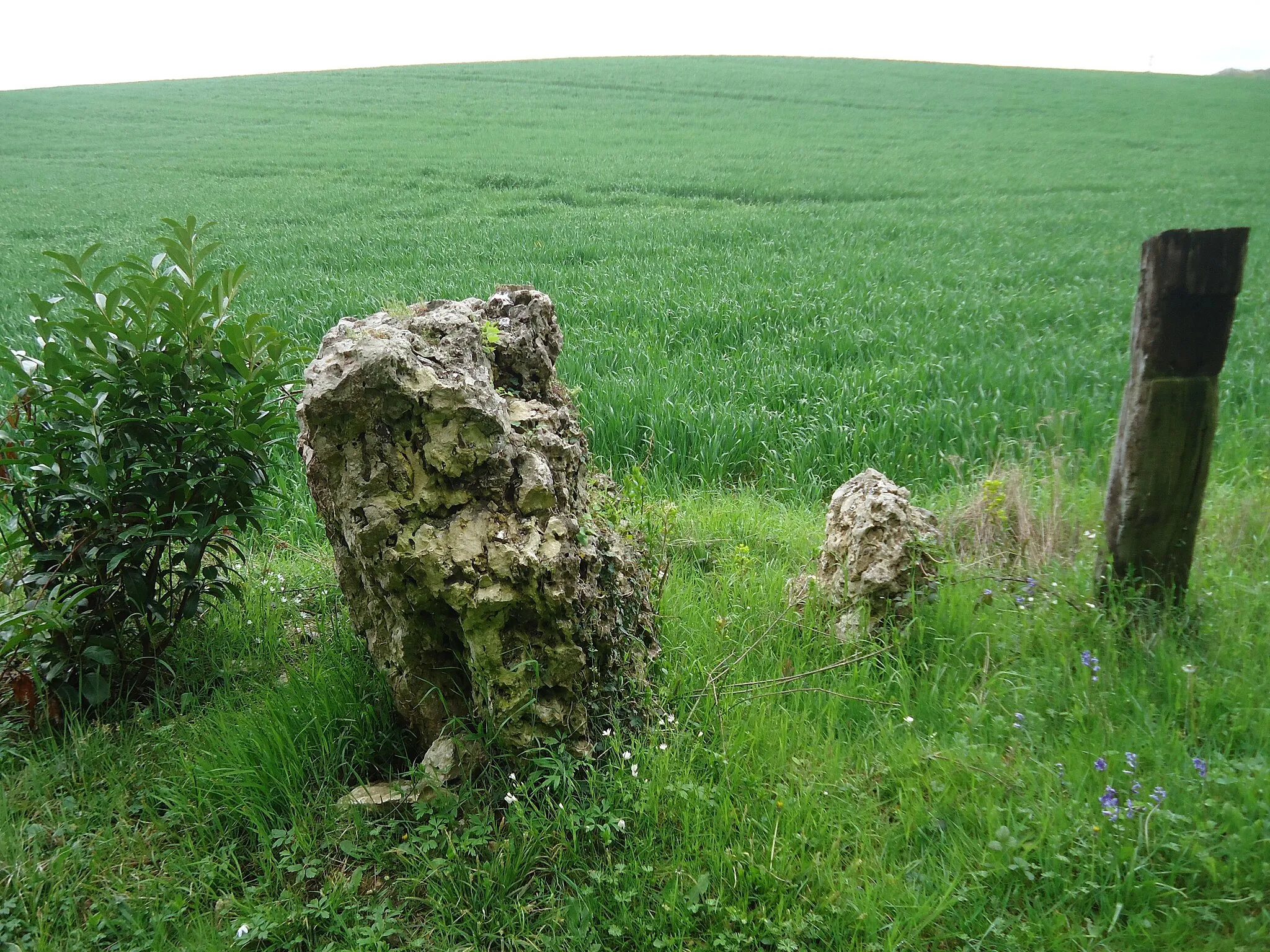 Photo showing: Menhir de la Pierre Saint-Martin à Fleury-sur-Andelle dans l'Eure