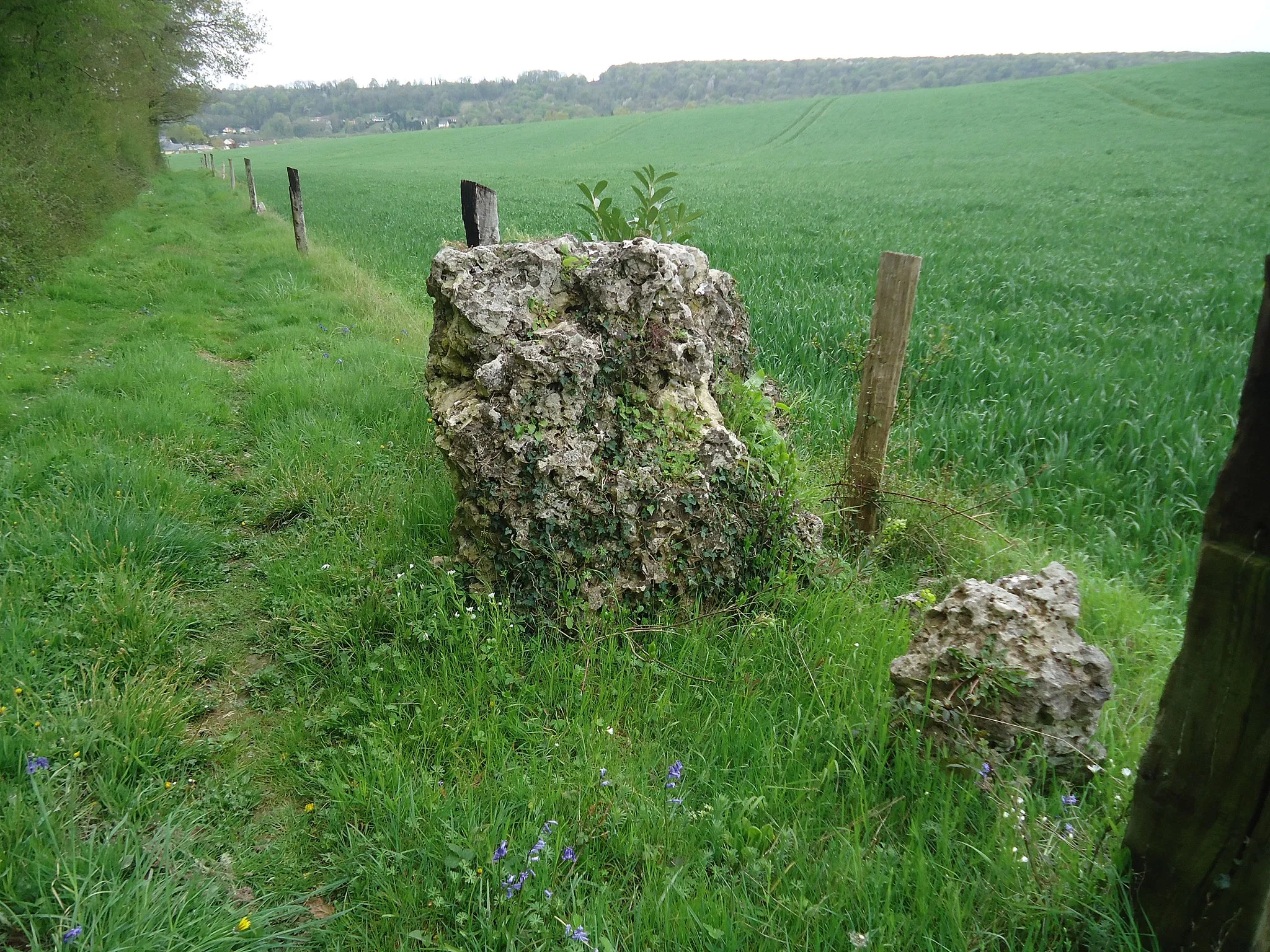 Photo showing: Menhir de la Pierre Saint Martin à Fleury sur Andelle dans l'Eure