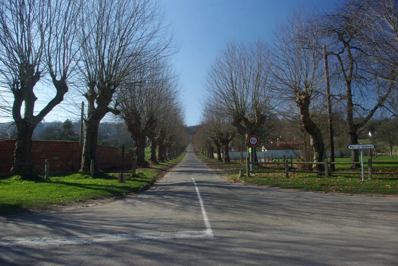 Photo showing: Alignement des tilleuls de l'avenue du château, matérialisant l'accès par la RD 6015 au village de Saint-Just (27 - Eure).