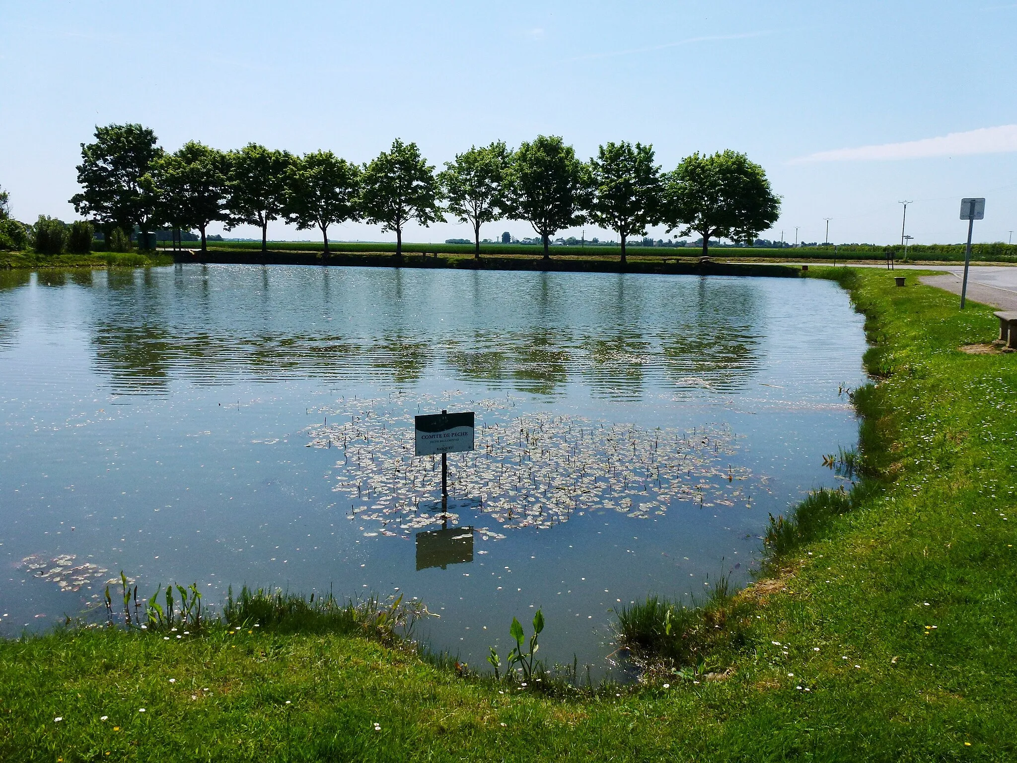 Photo showing: Barquet (Eure, Fr) étang de pêche