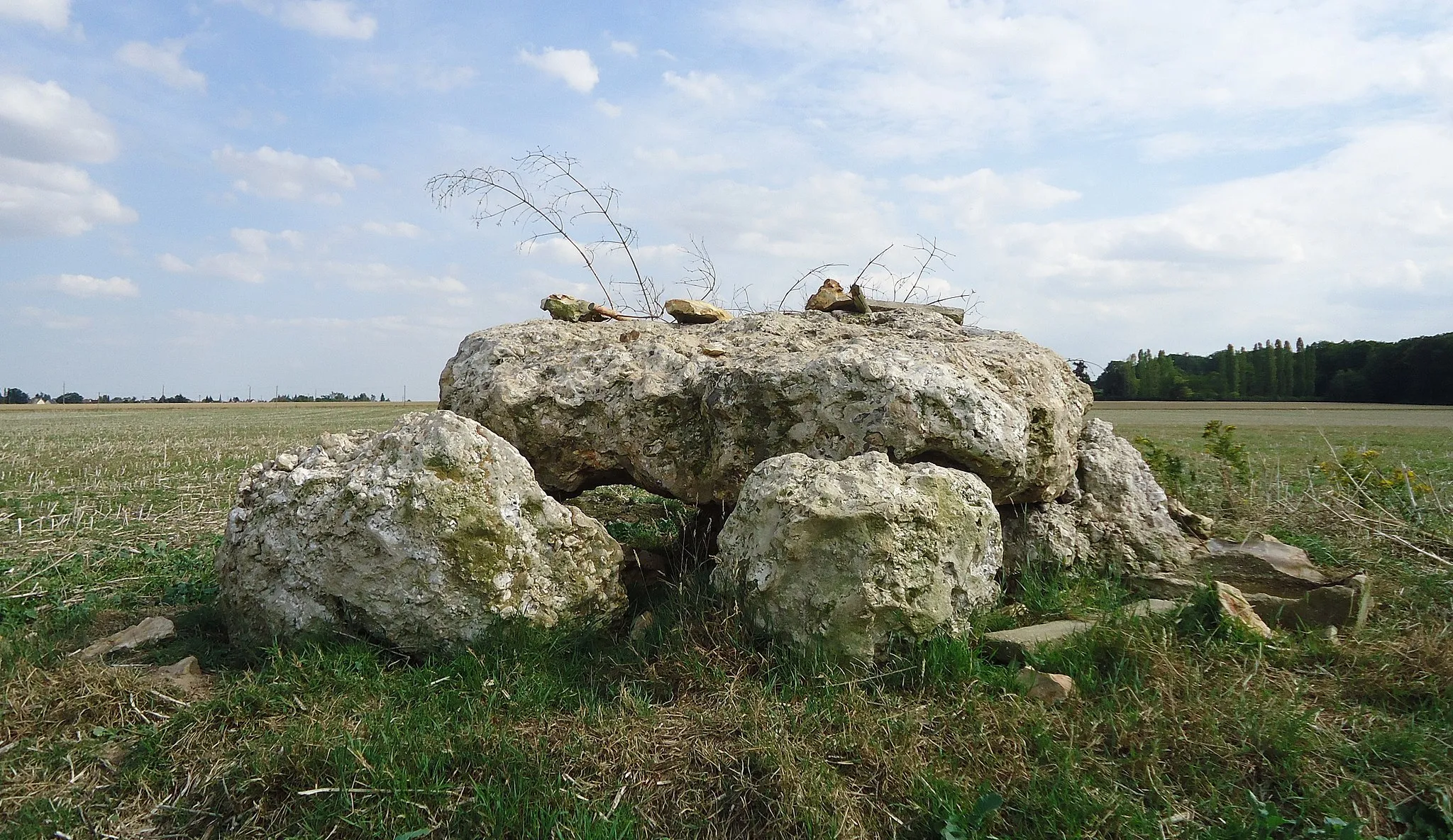 Photo showing: Les Ventes - Dolmen de l'Hotel-Dieu dite Pierre des Druides