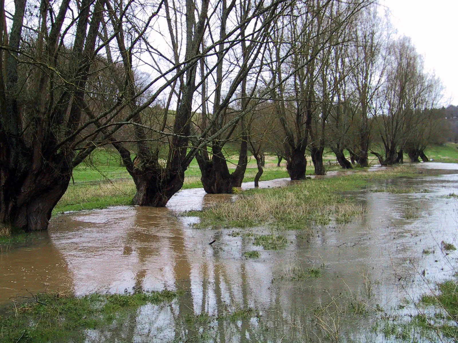 Photo showing: La rivière Oison en crue lors de pluies abondantes