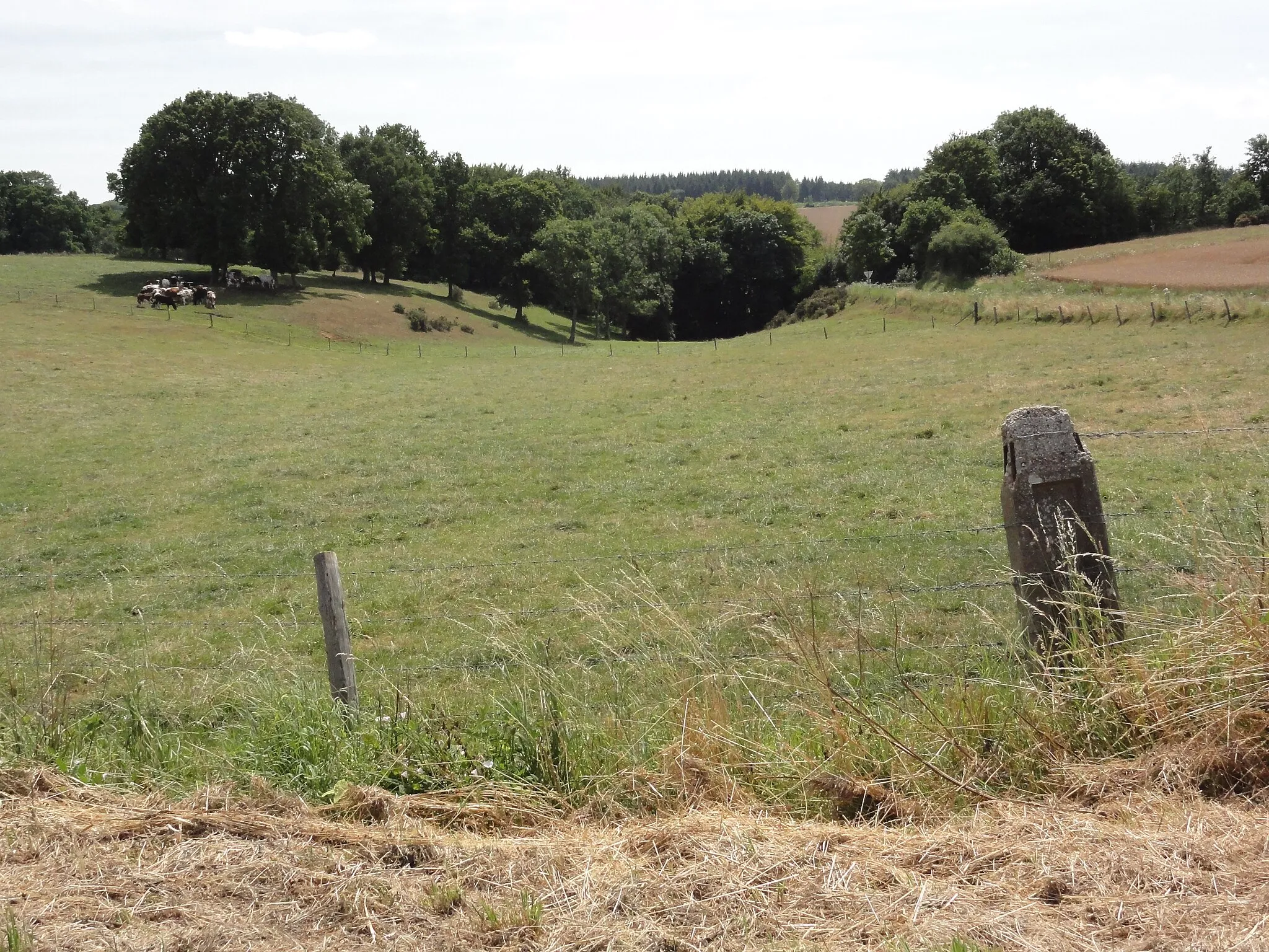 Photo showing: Bosville (Seine-Mar.) paysage 1