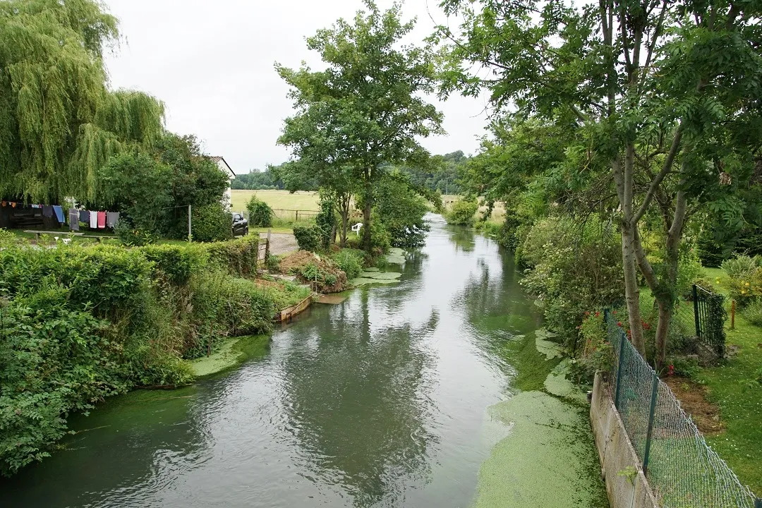 Photo showing: Normandie, La Saâne dans Ouville la Riviére; la photo a été prise depuis la route D925