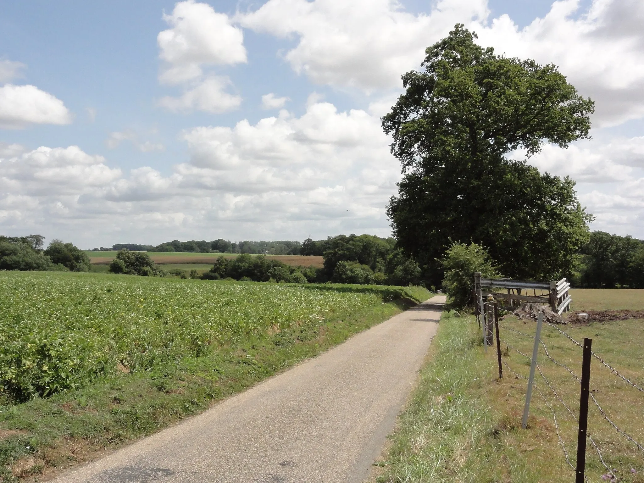 Photo showing: Mont-de-l'If (Seine-Maritime) paysage