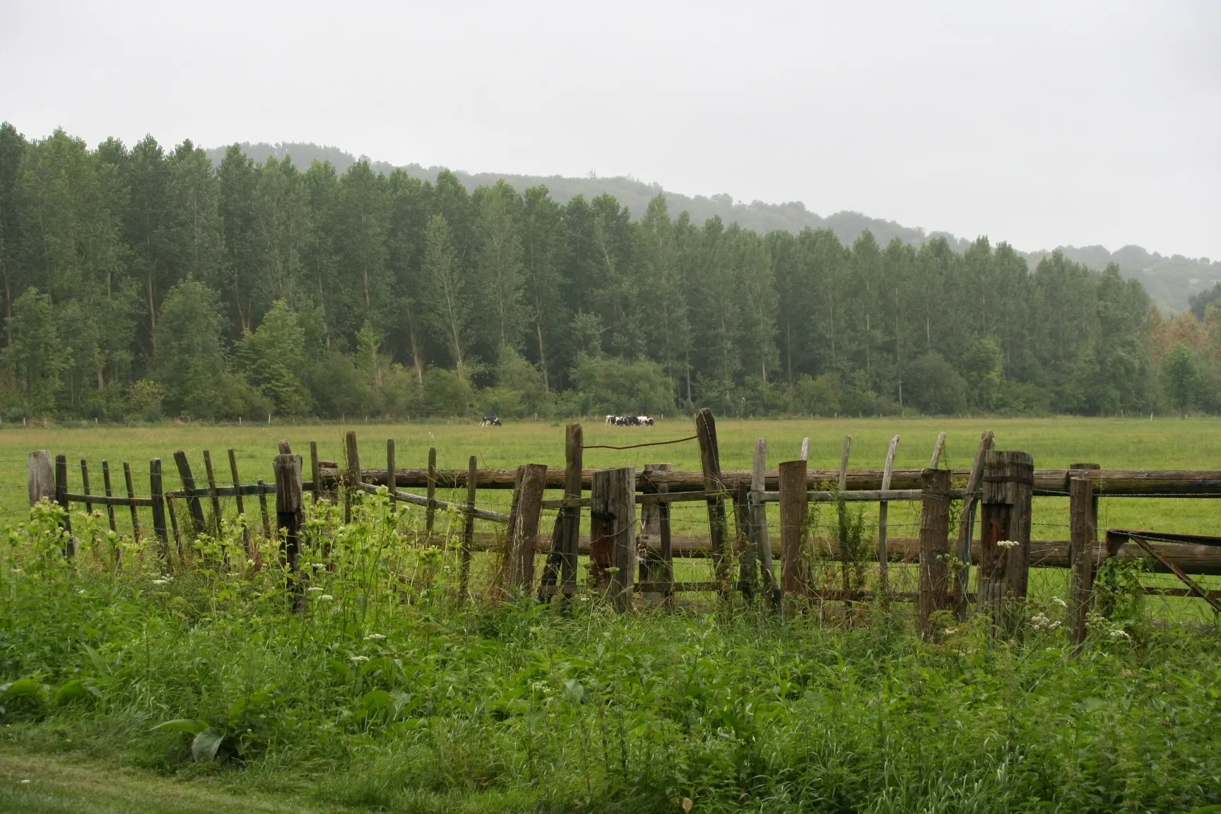 Photo showing: Pâturages dans la vallée de l'Epte à Amenucourt, Val-d'Oise, France