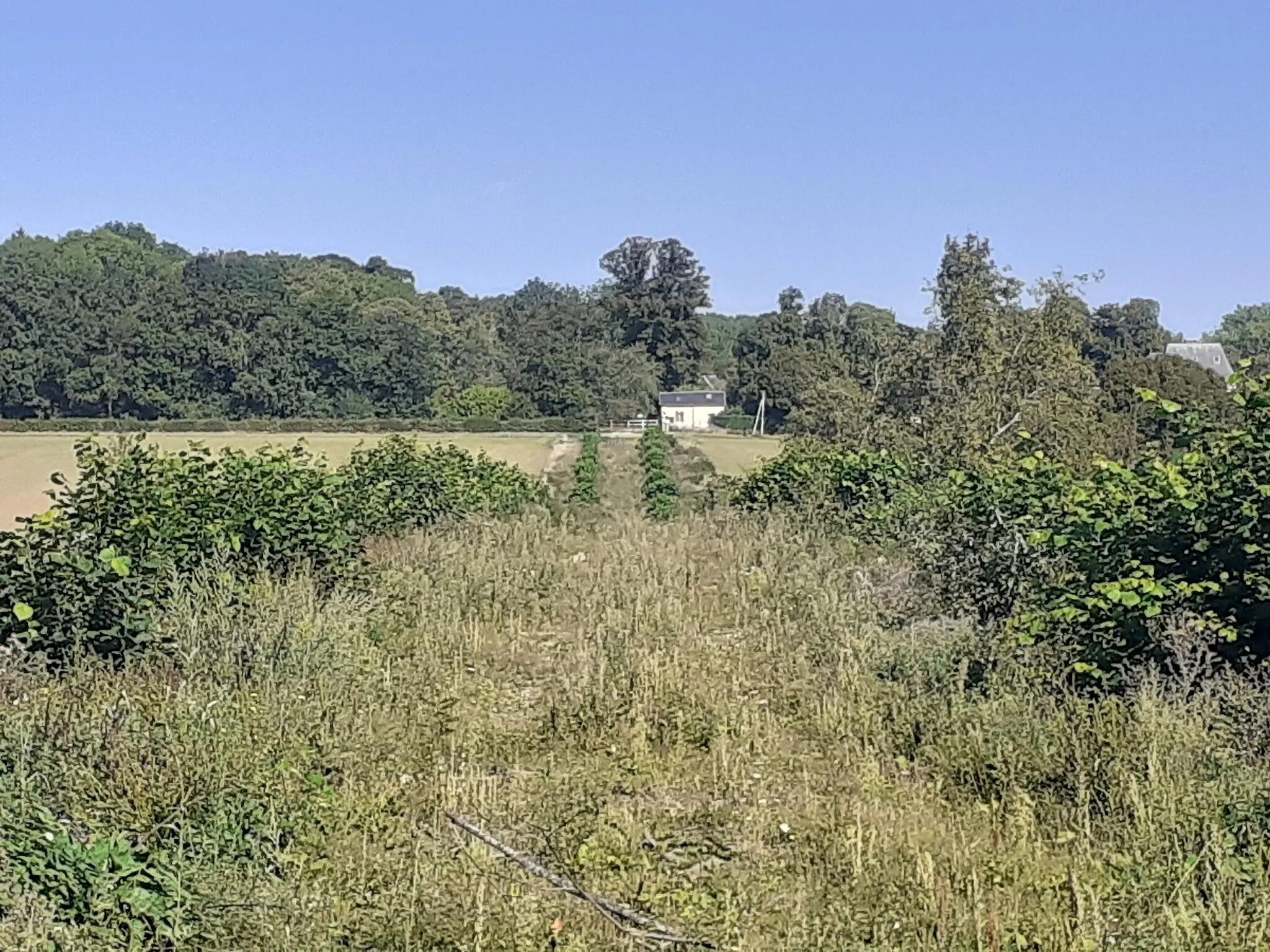 Photo showing: Vue lointaine du château du Val-d'Ailly. Avenue menant à la grille du château.