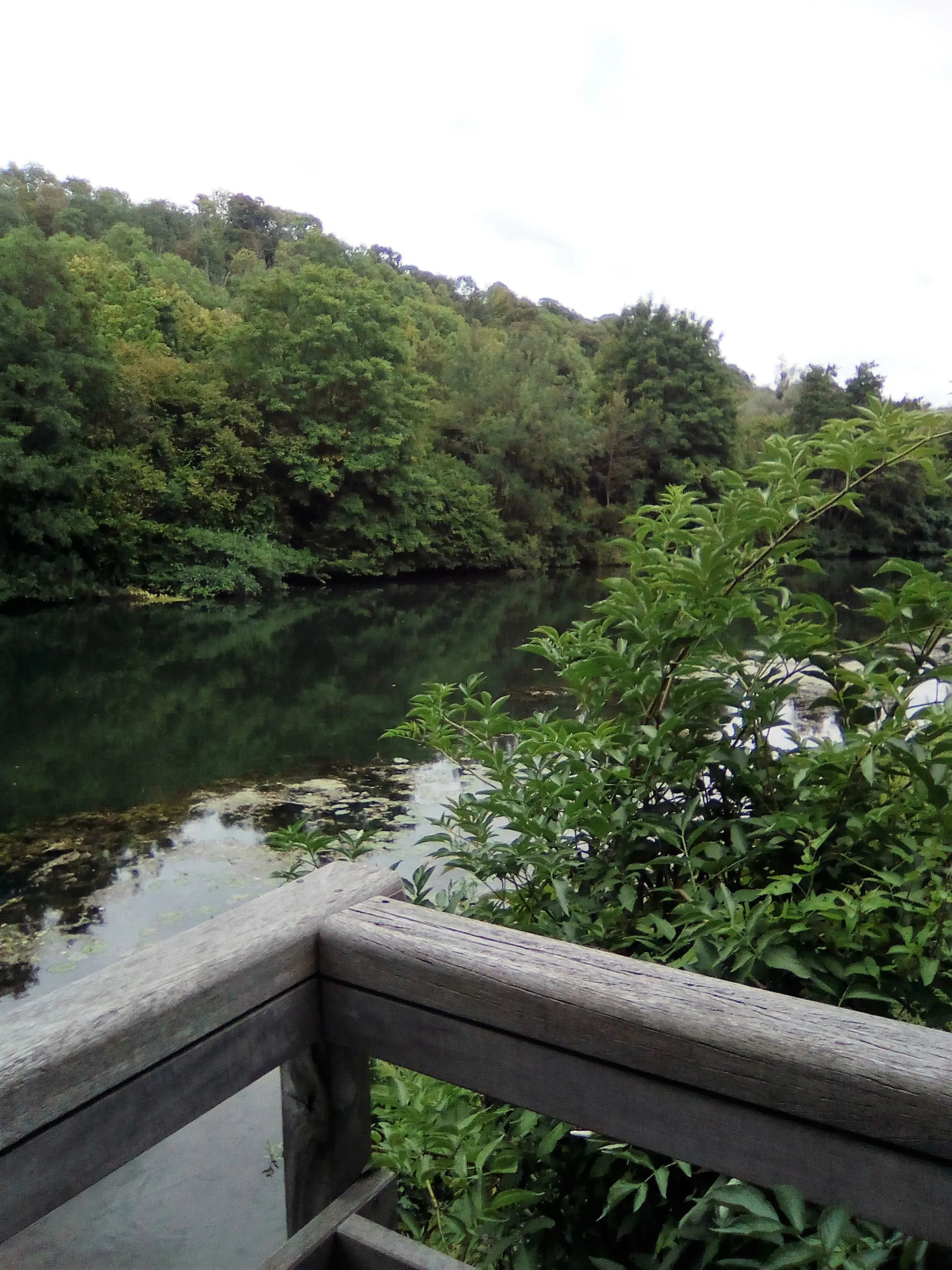 Photo showing: Voie verte de l'Eure à la Seine - Incarville