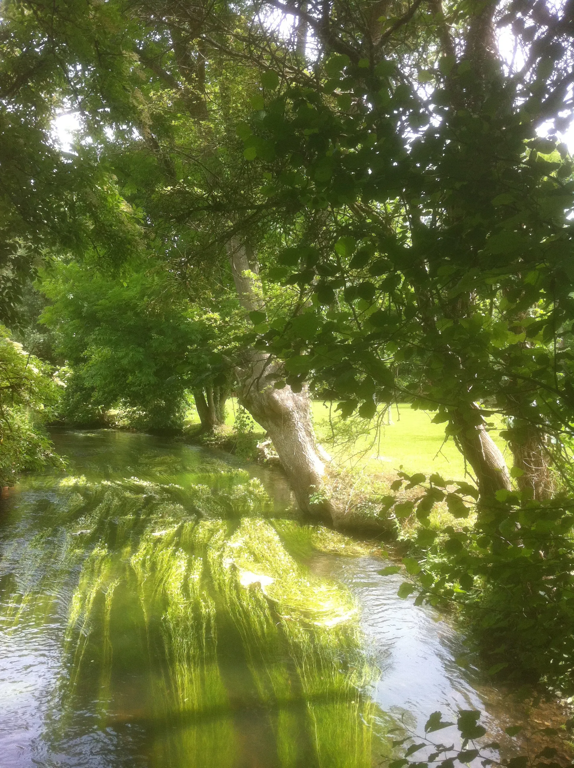 Photo showing: Le ruisseau l'Iton coulant à Brosville (Eure)