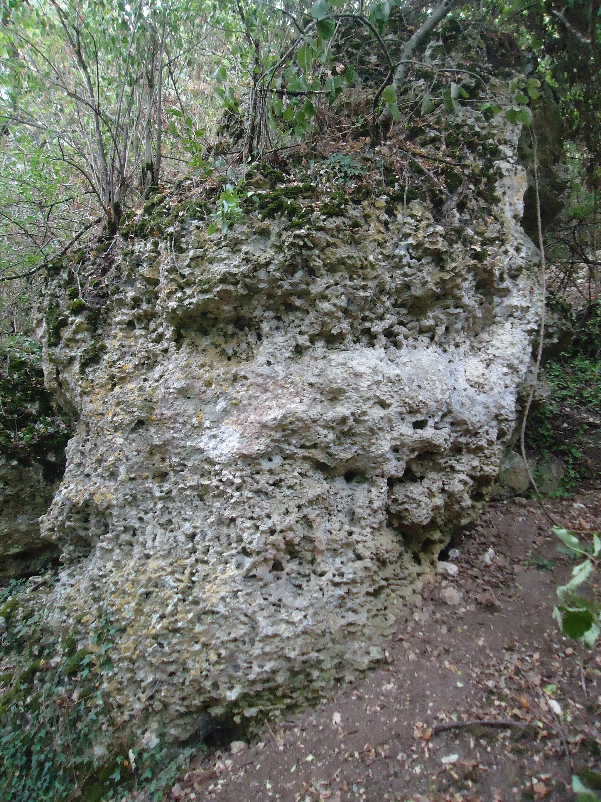 Photo showing: Menhir dit Caillou de Gargantua à Caillouet-Orgeville dans l'Eure