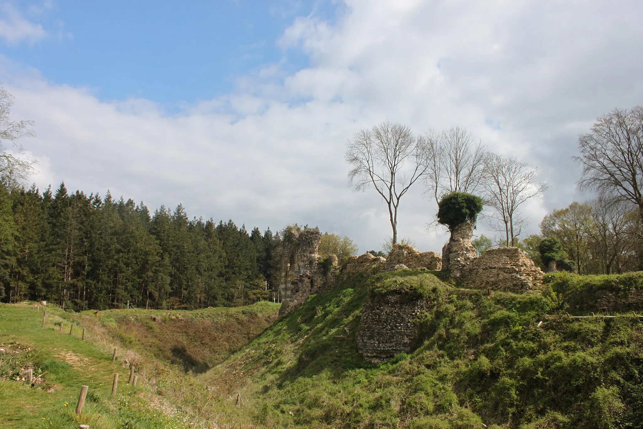 Photo showing: Château de Montfort-sur-Risle et vue sur la forêt de Montfort