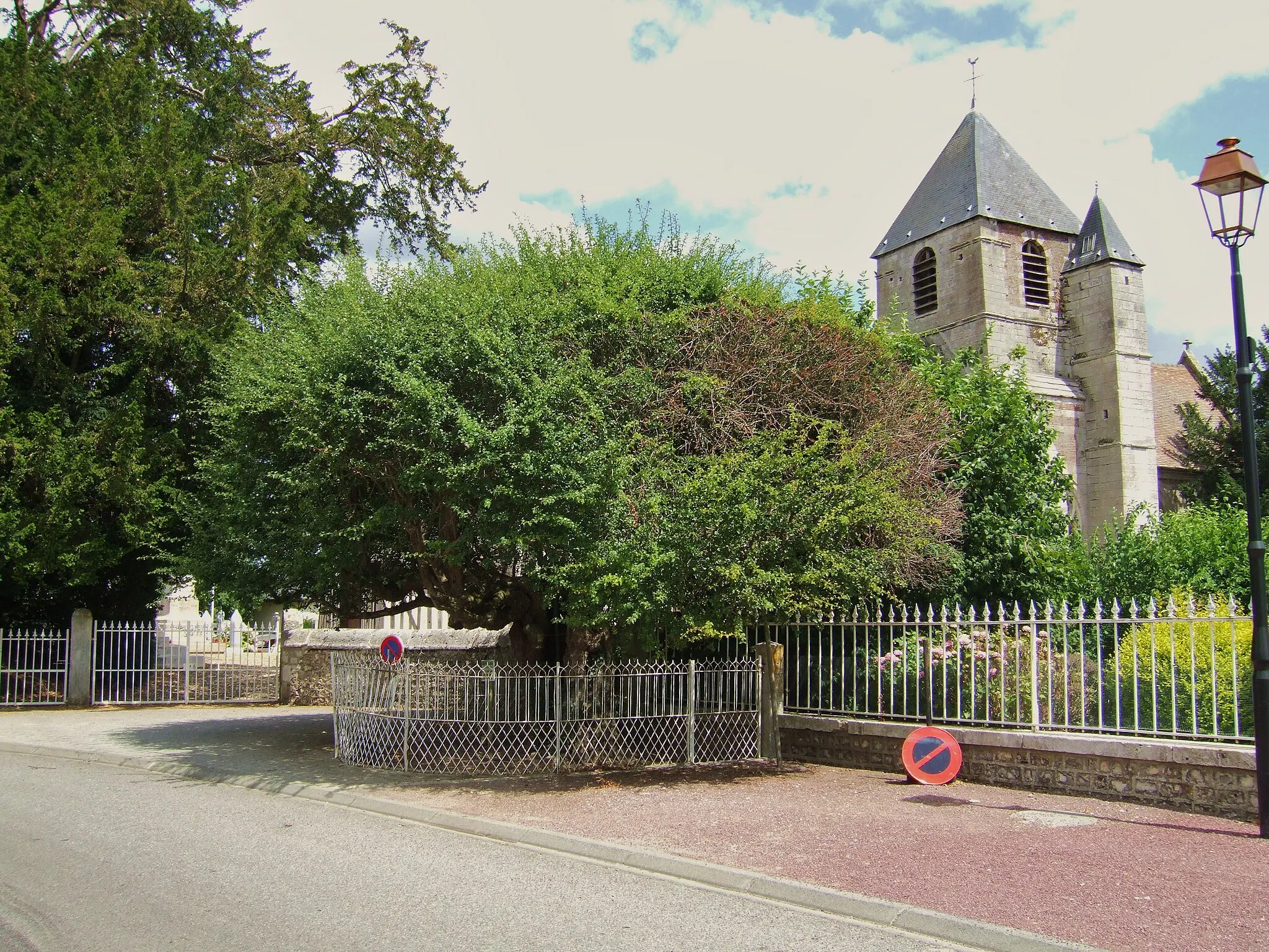 Photo showing: Aubépine de Bouquetot (Eure, Normandie, France) - Plantée vers 1360, c'est l'une des plus vieilles de France