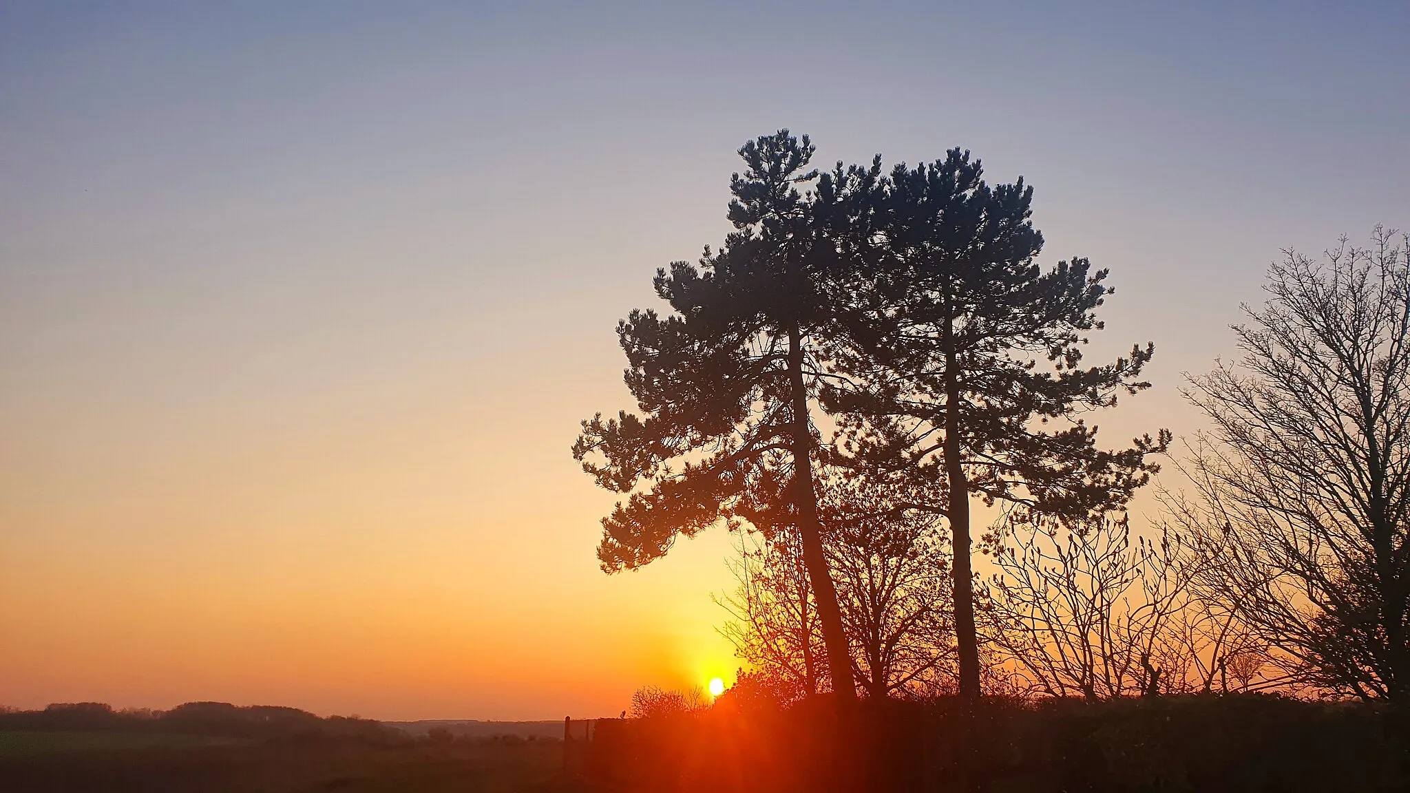 Photo showing: Couché de soleil sur la Vallée Douard depuis le chemin de la Messe (C 25) à Raville.