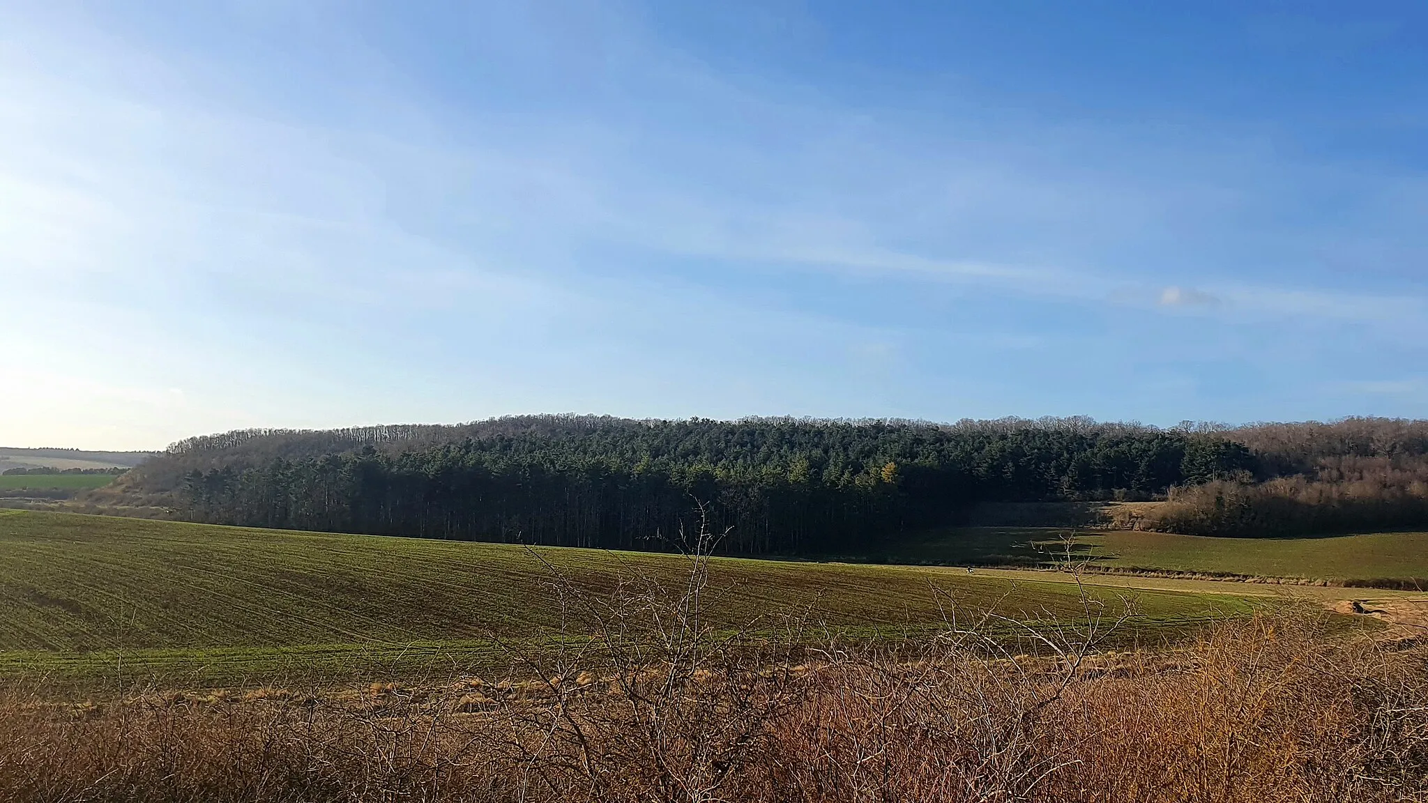 Photo showing: Vue du bois des Gâts des Osmeaux depuis la pelouse Sur la Vallée Douard.