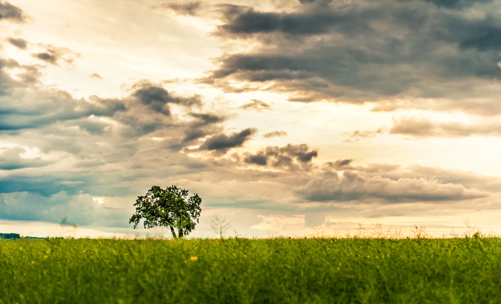 Photo showing: 500px provided description: The Tree 2 [#clouds ,#tree ,#alone ,#arbre ,#normandy ,#normandie ,#nuages]