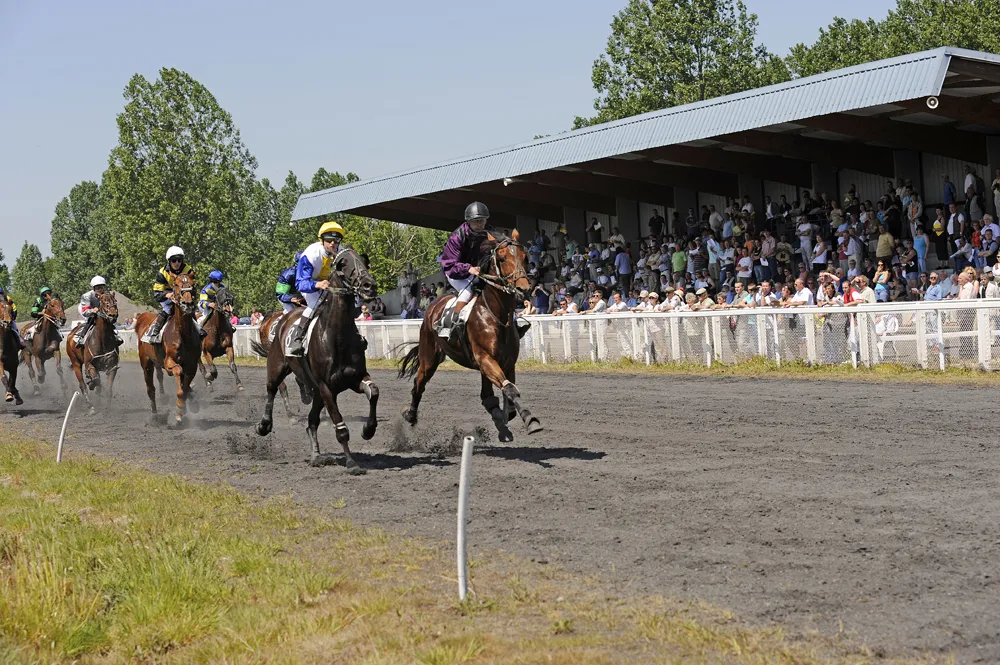 Photo showing: Trot monté