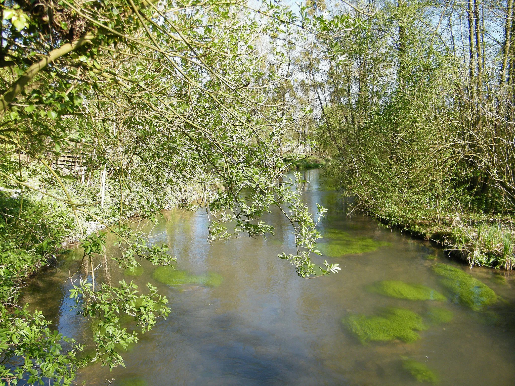 Photo showing: Le côté amont de la Bresle.