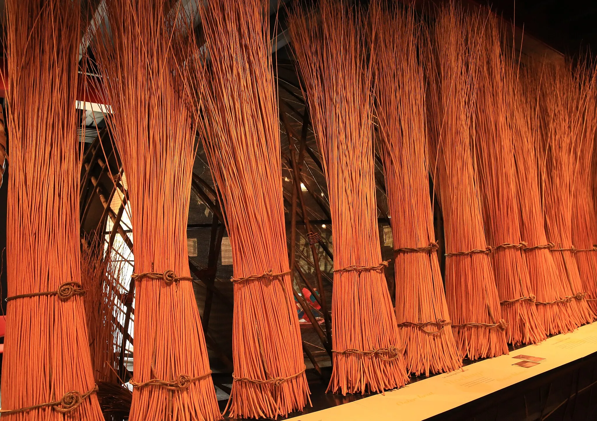 Photo showing: Bunches of osier stems, in the basketry museum of Villaines-les-Rochers.