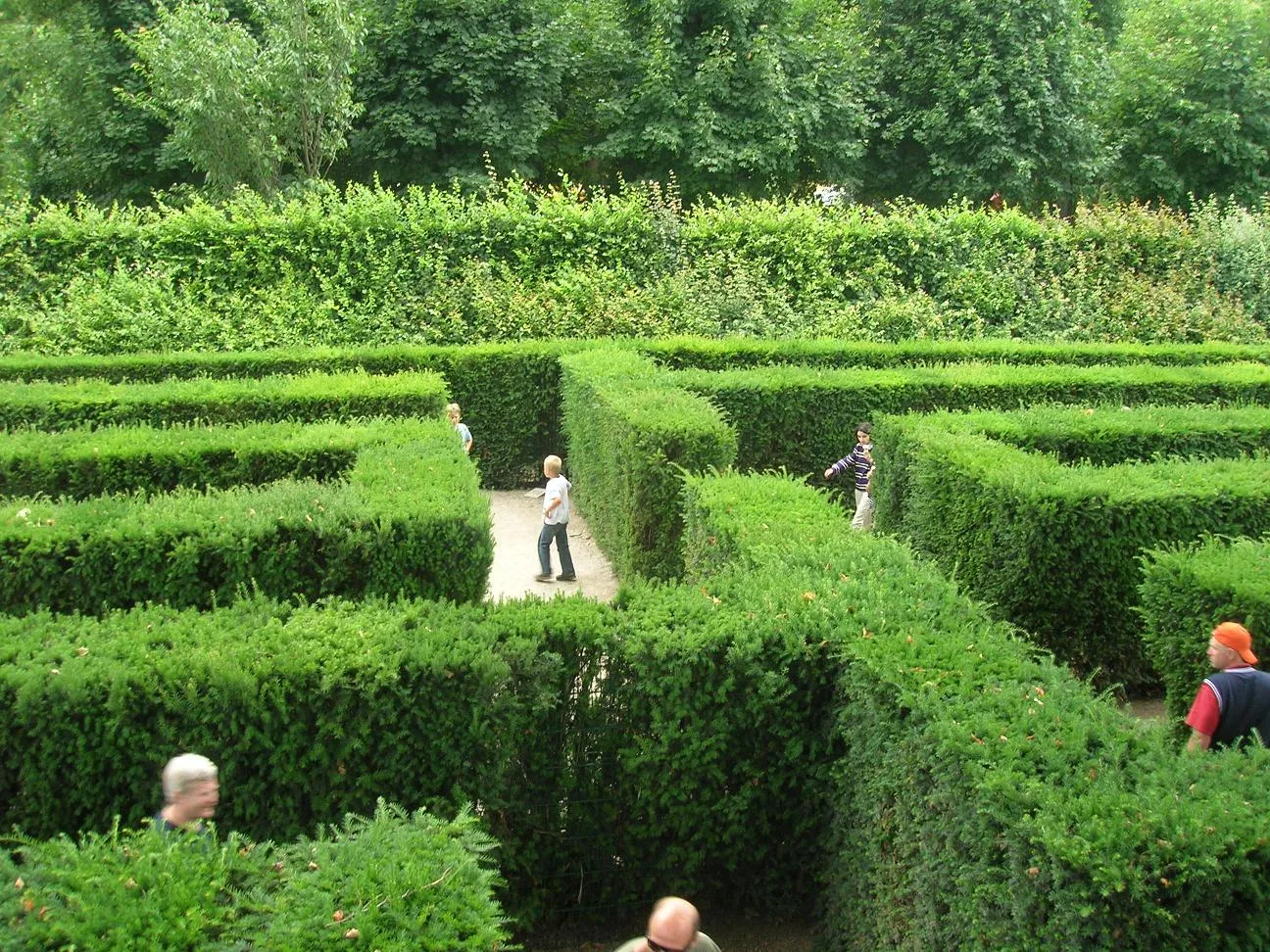 Photo showing: Maze/Labyrinth Schönbrunn