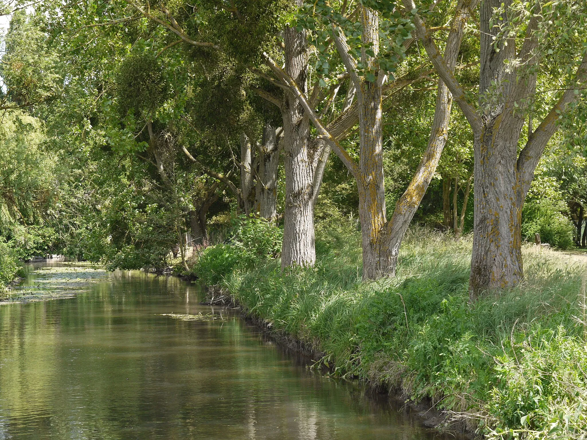 Photo showing: Rémarde river near the watermill of Trévoix in  Ollainville (France)