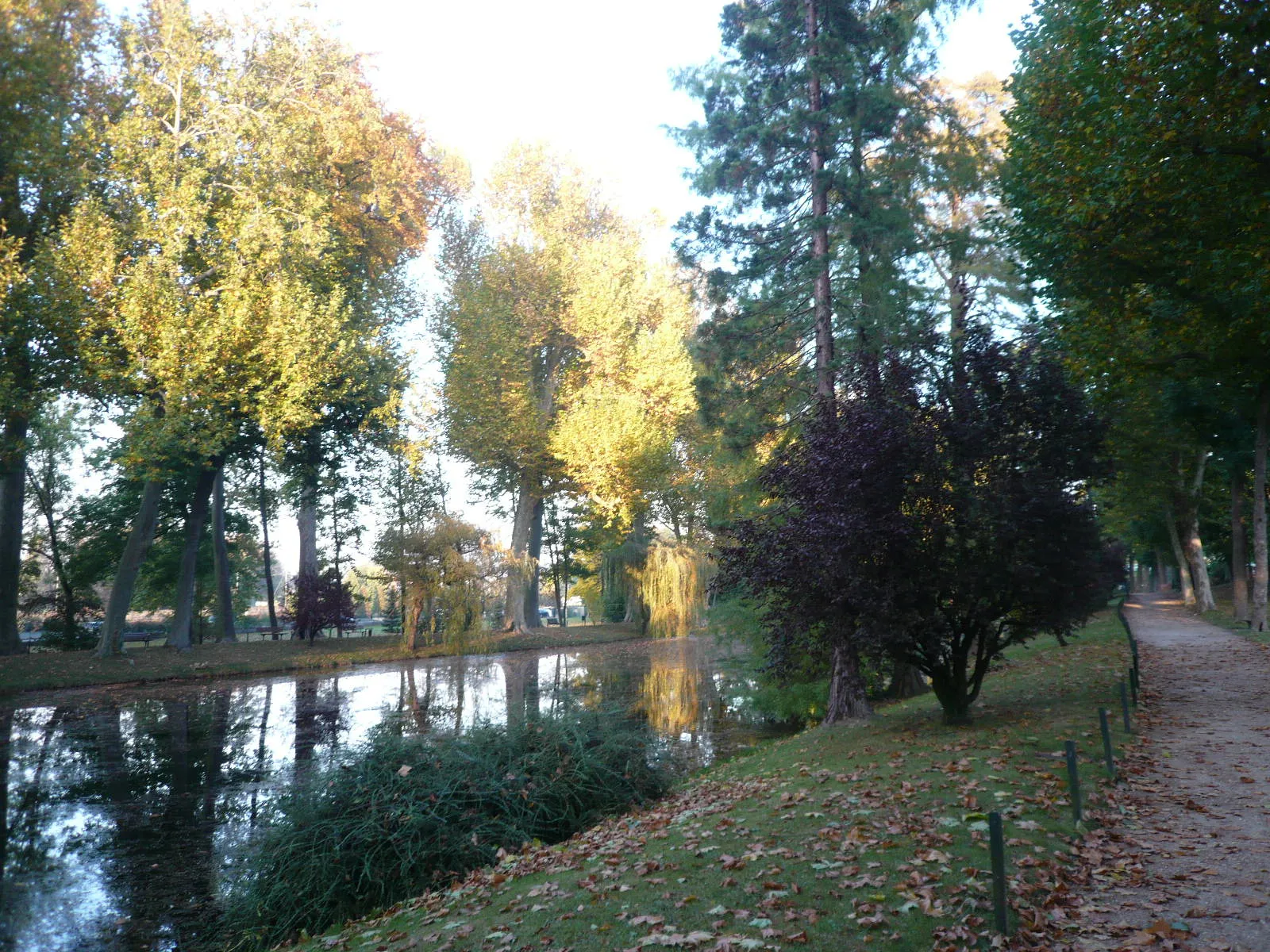 Photo showing: Pièce d'eau, cyprès chauves et allée du parc Meissonier.
